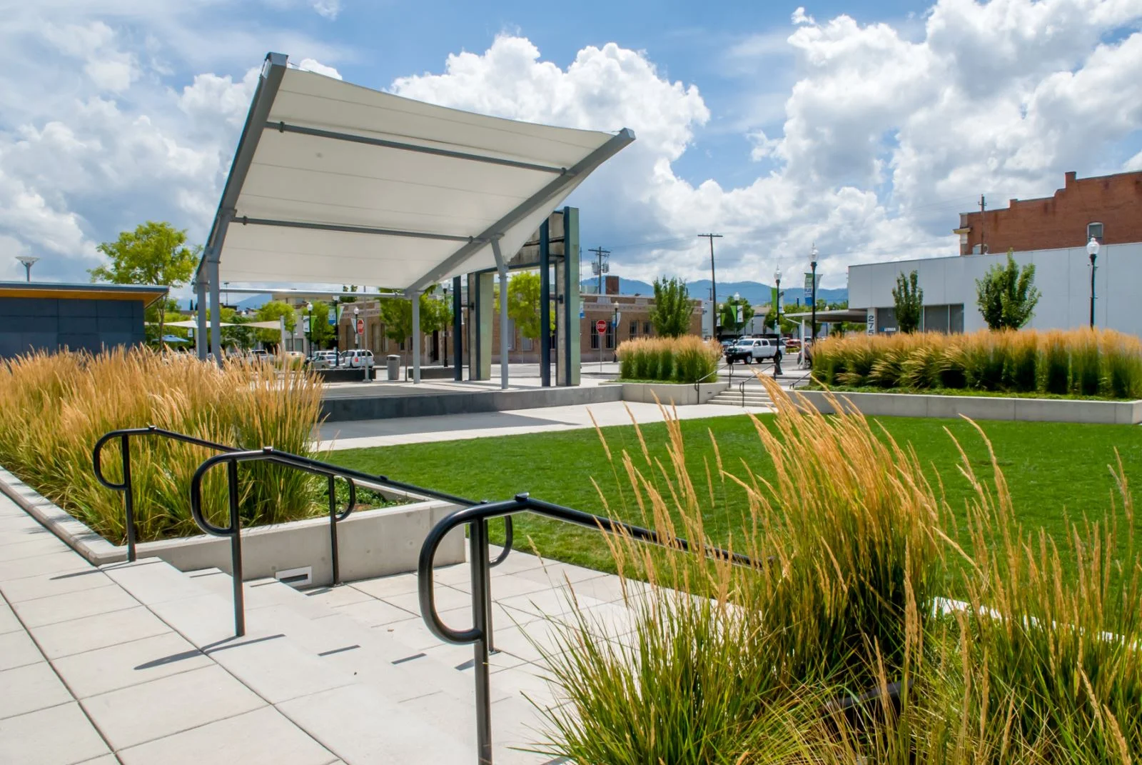 Pear Blossom Parks.jpeg