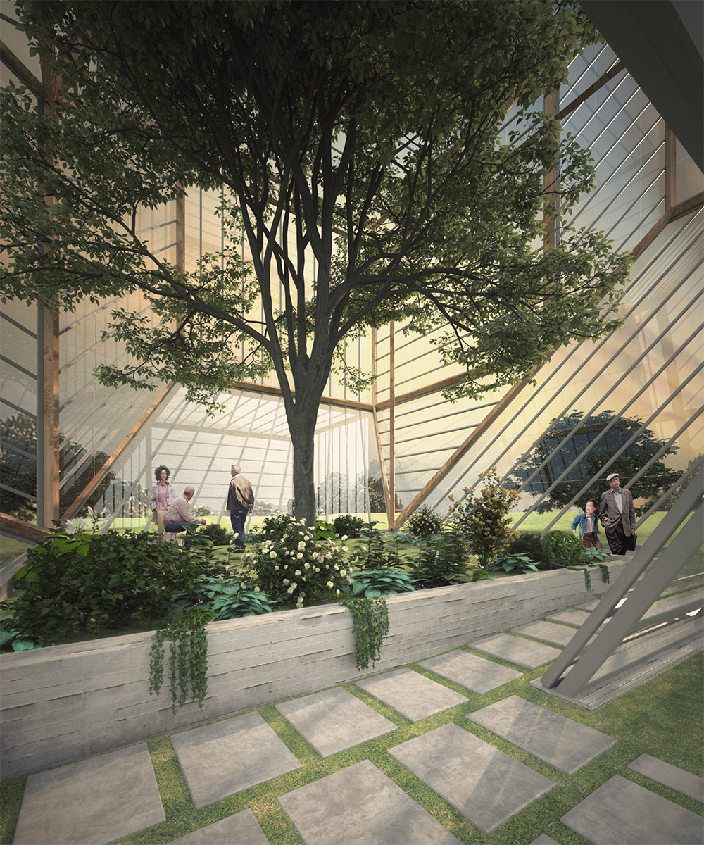  The lapped glass facade is ventilated to control the internal temperature.  The unheated greenhouse allows the oak tree to go through its seasonal cycle. 