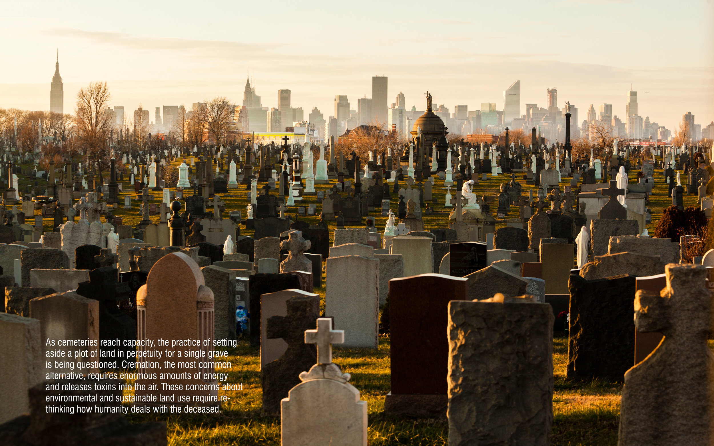  Traditional cemeteries require ever-increasing acres 