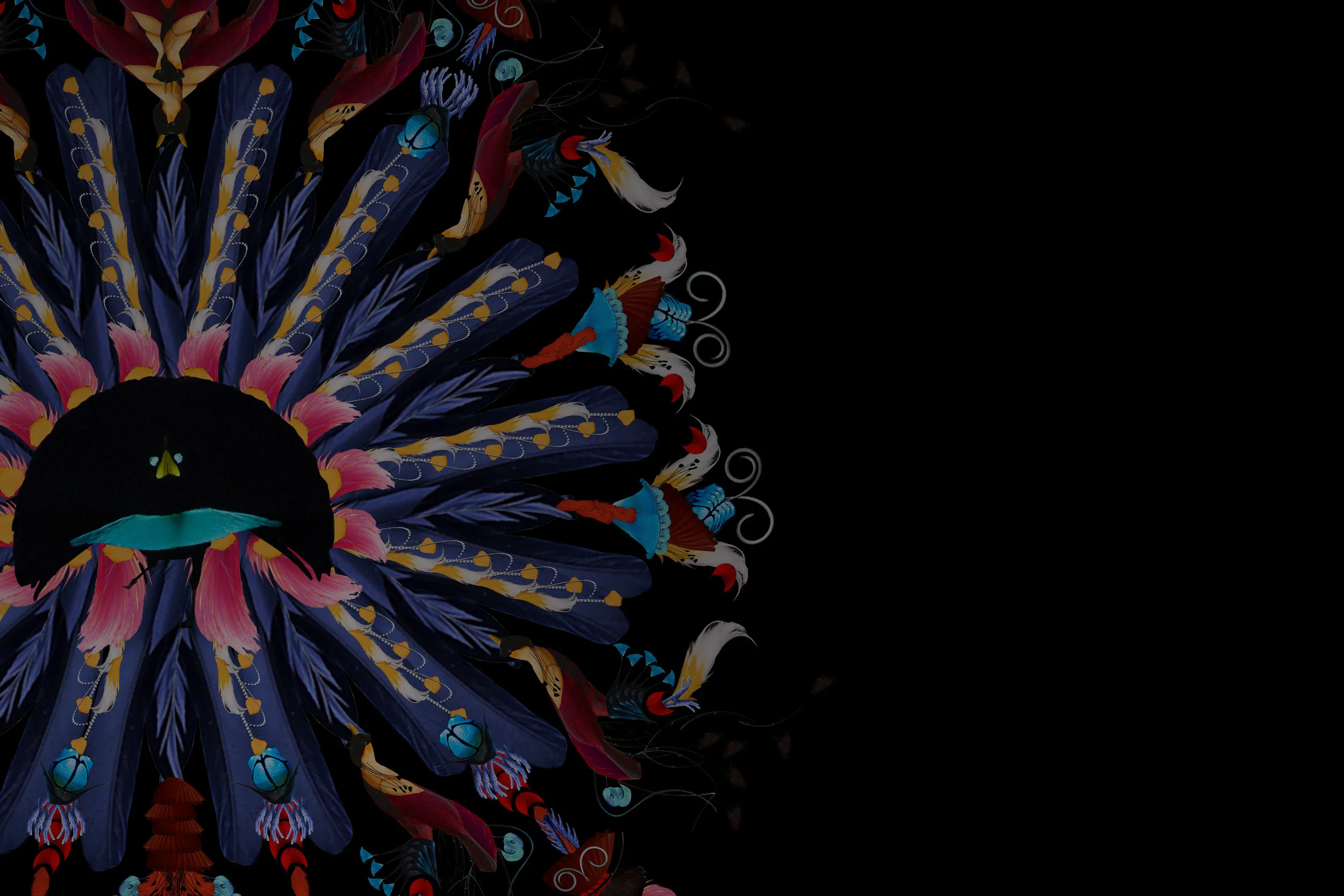 website homepage image 10.jpg