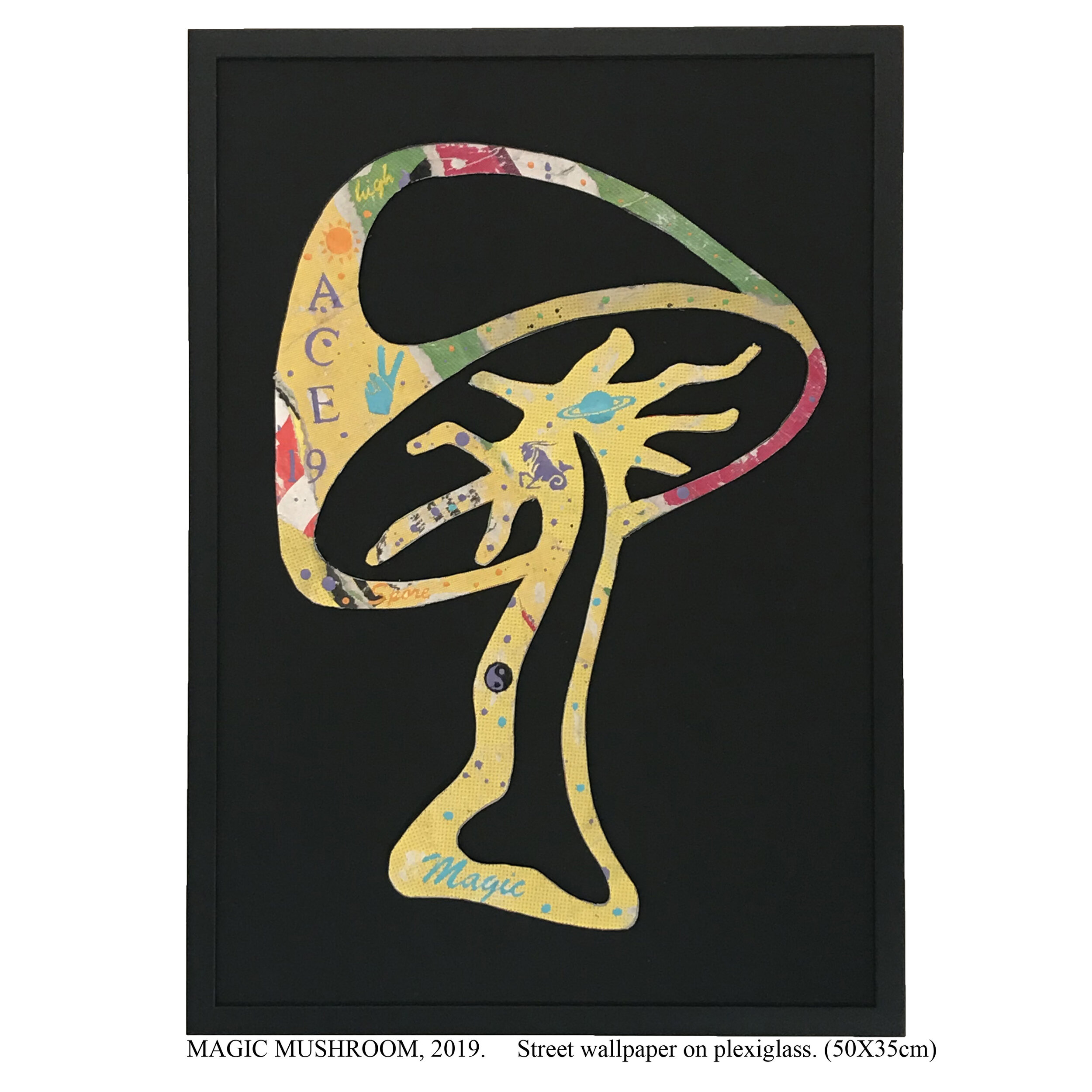 ARNAUD JATOP MAGIC MUSHROOM 2019.jpg