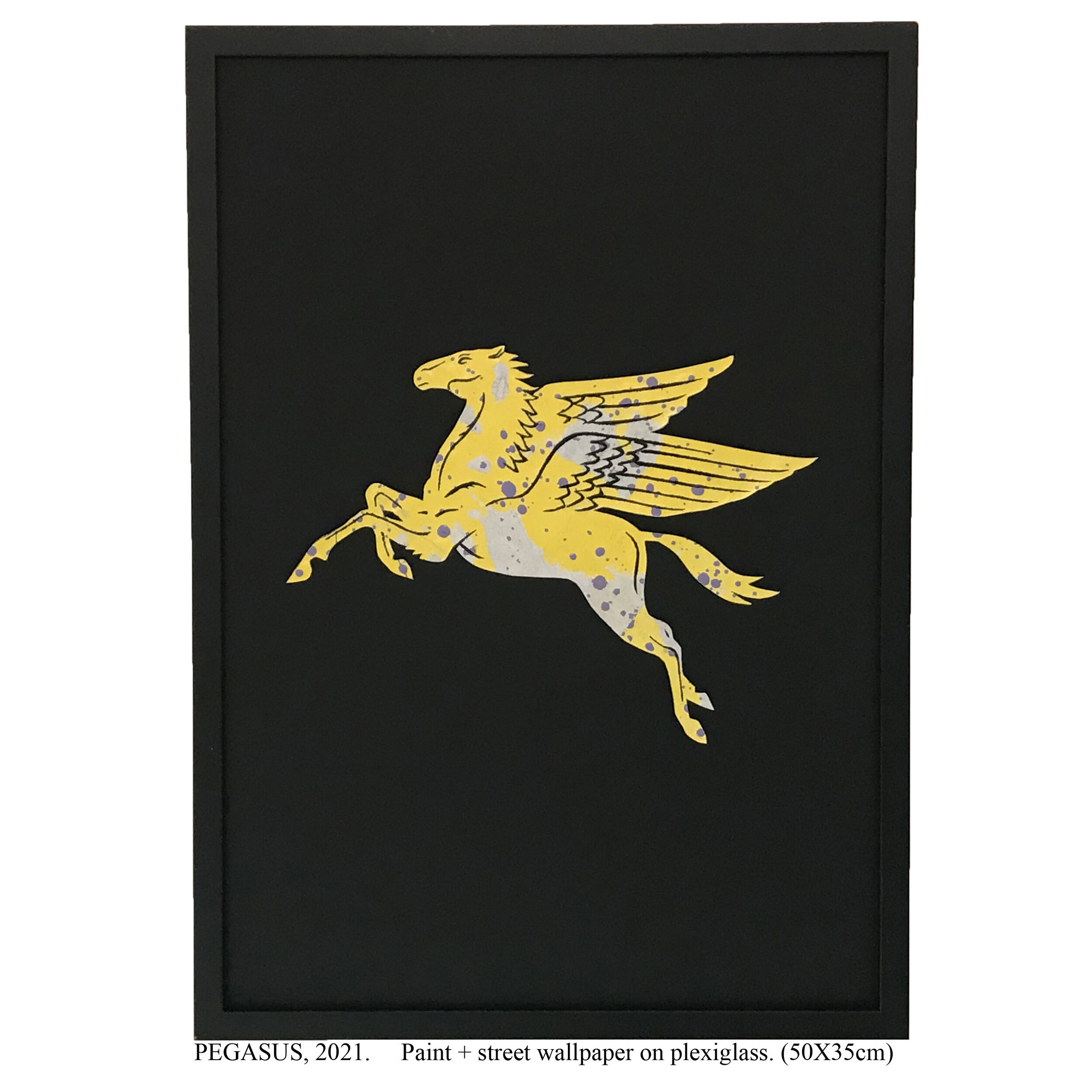 PEGASUS + TITLE2.jpg