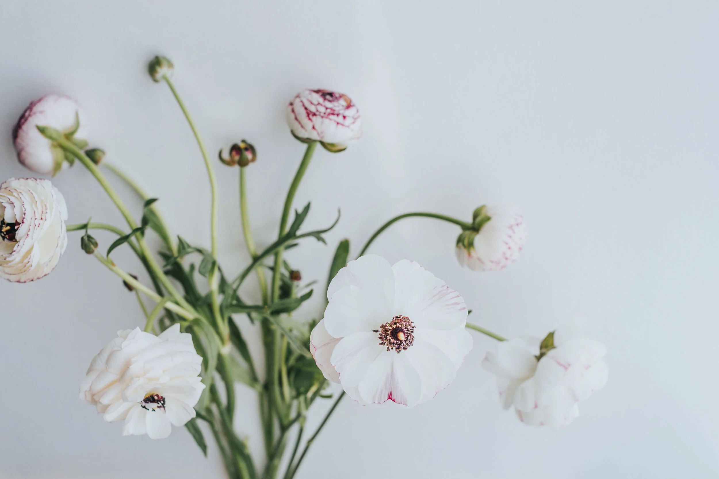 Top 5 Spring Wedding Flowers