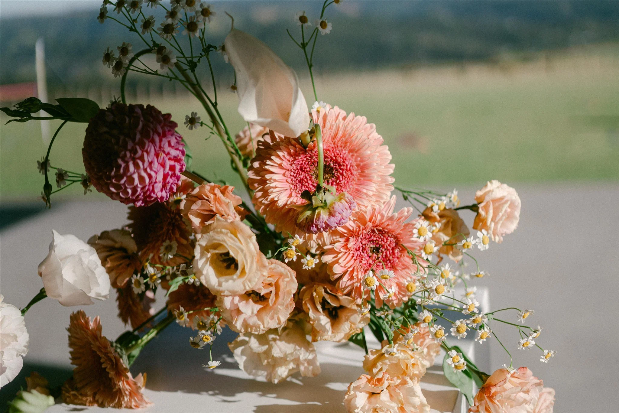 Close-up of colourful seasonal wedding flowers including calla lilies, dahlias, gerberas and chamomile in a modern floral arrangement at Parihoa Farm.
