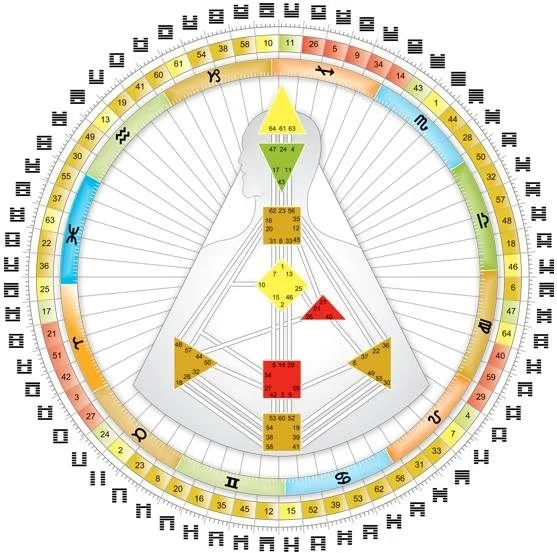 HDBodyGraph.wheel.blank.jpg