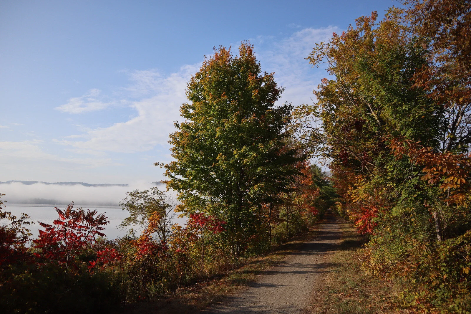 Hope &amp; H*ll: Fall ‘20