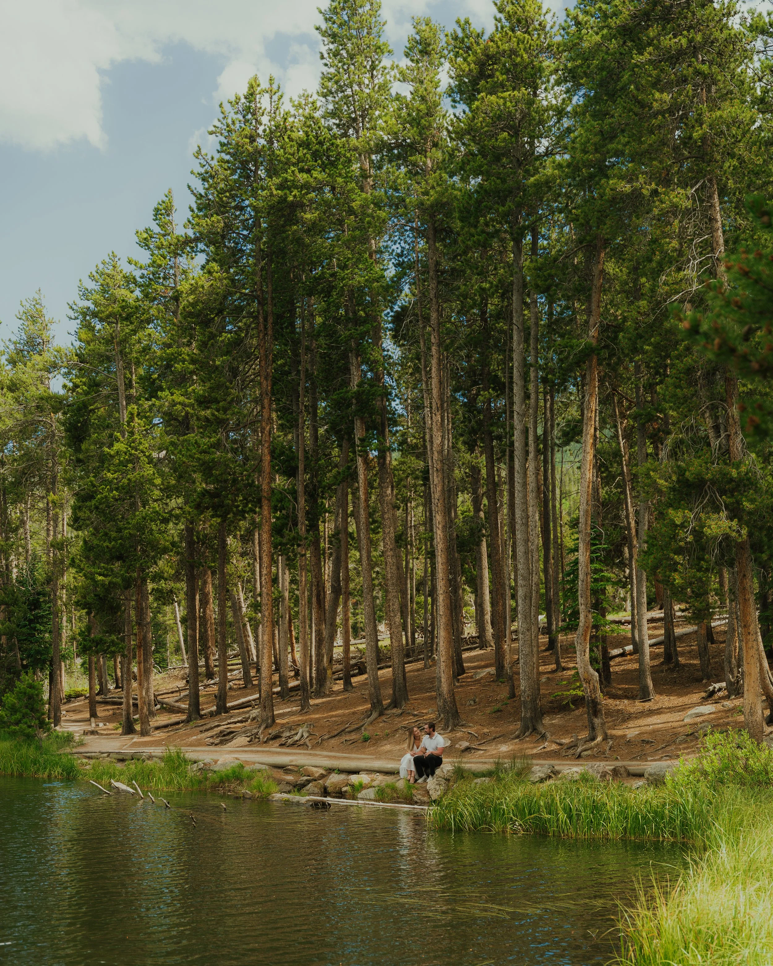 Couple sitting by a lake surrounded by tall pine trees and green grass.