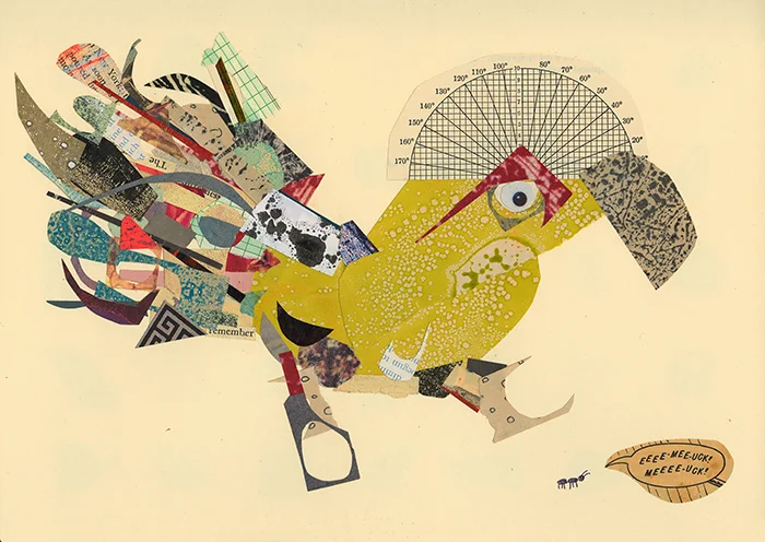 collage21.jpg