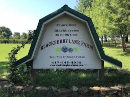 Blackberry Lane Farm