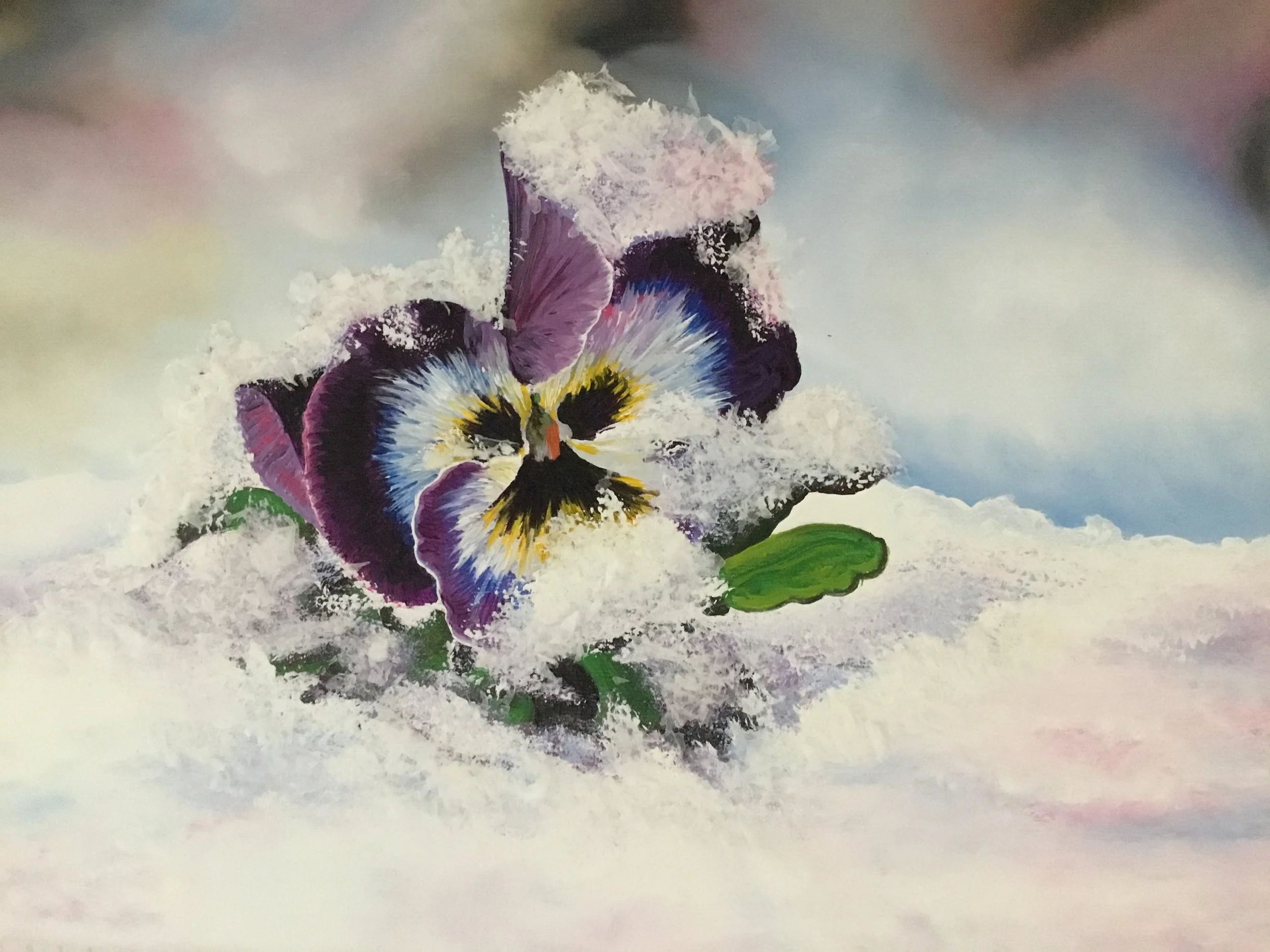 Violet in Snow