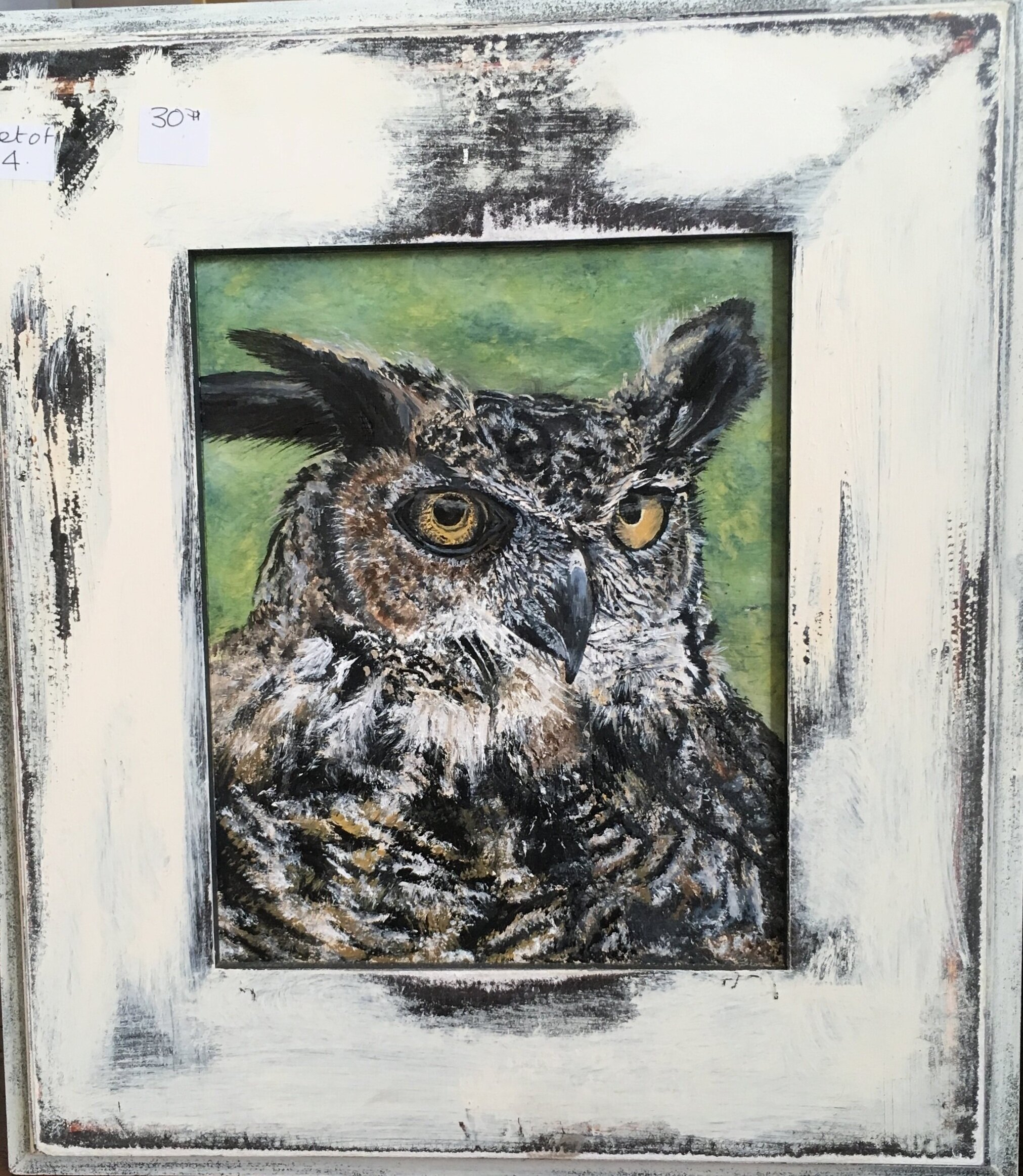 What a Hoot