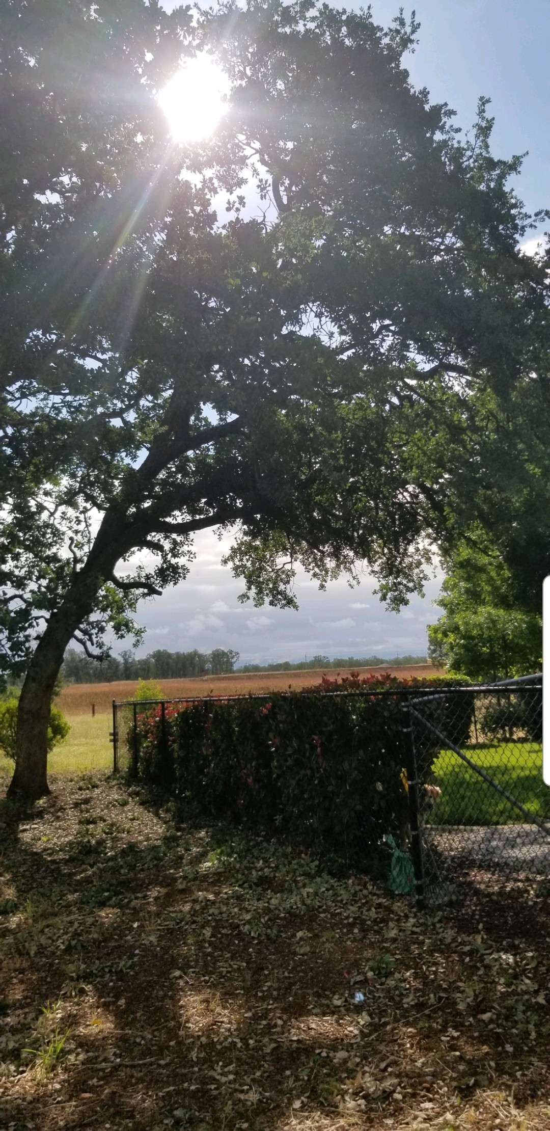 190616_053202_18.jpeg