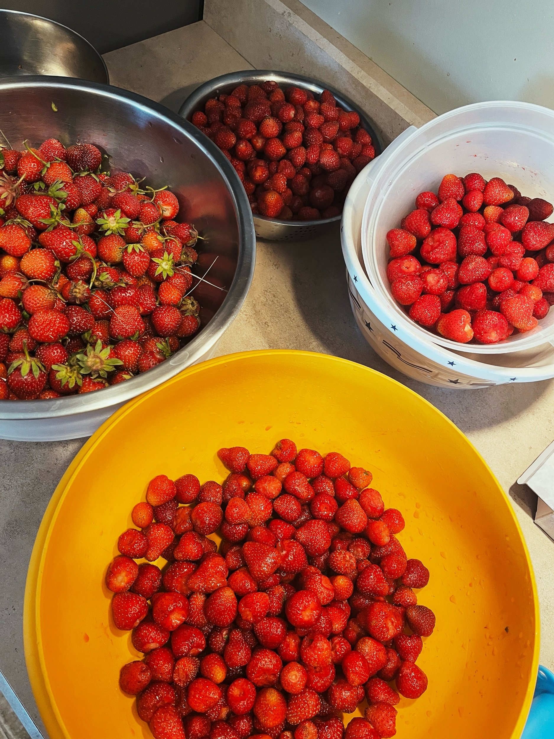 IMG_9750 Edited.jpeg