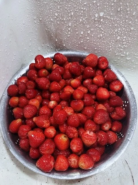 IMG_9743 Edited.jpeg