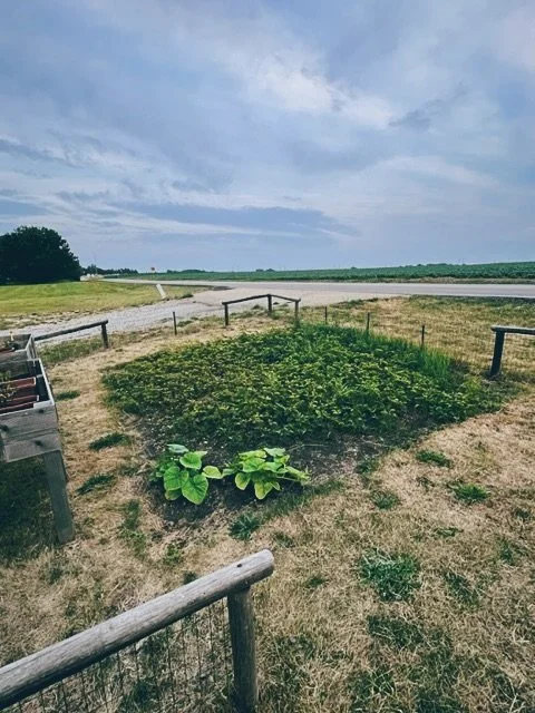 IMG_0004 Edited.jpeg