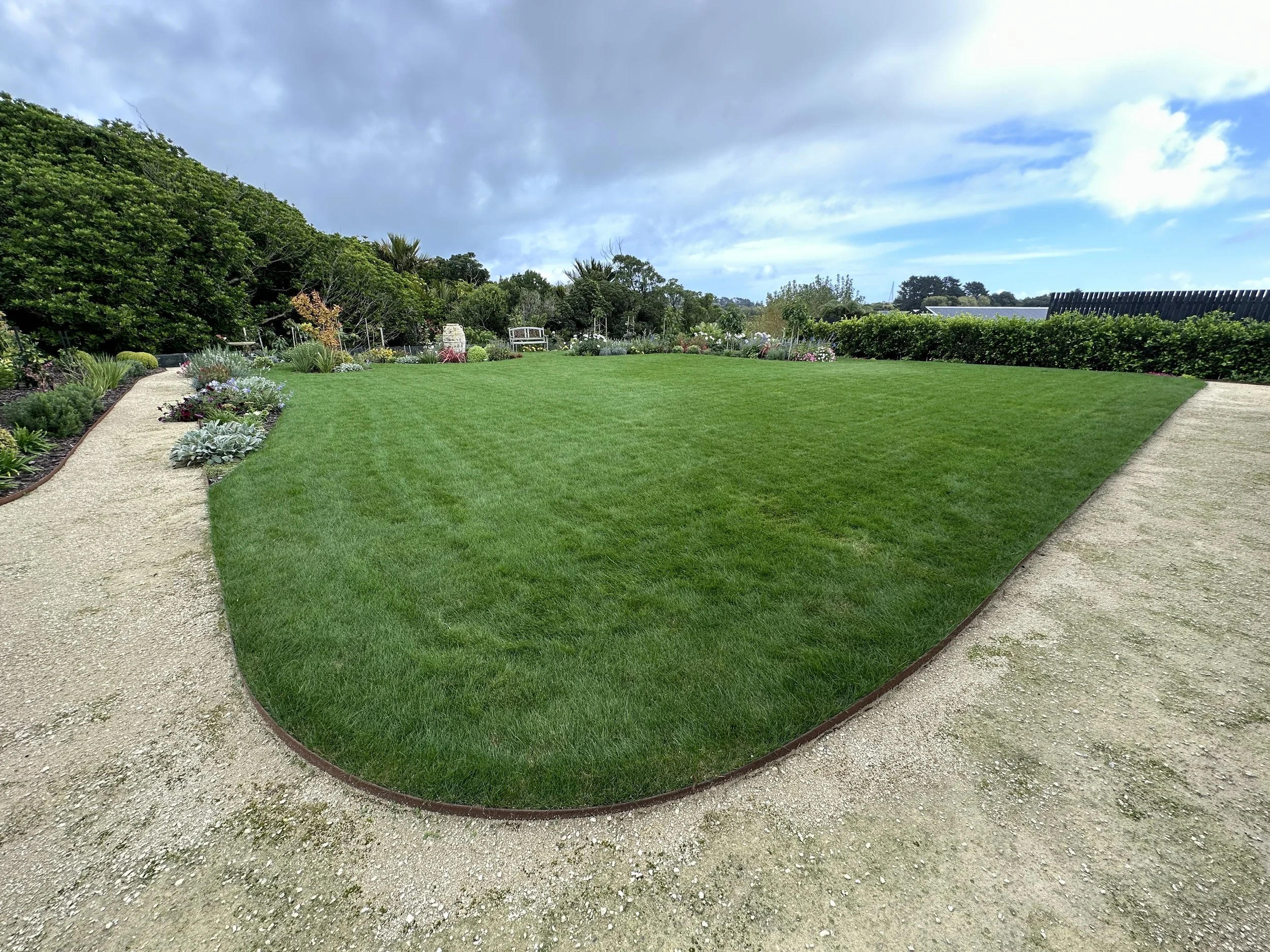 Fine Fescue Lawn.JPG
