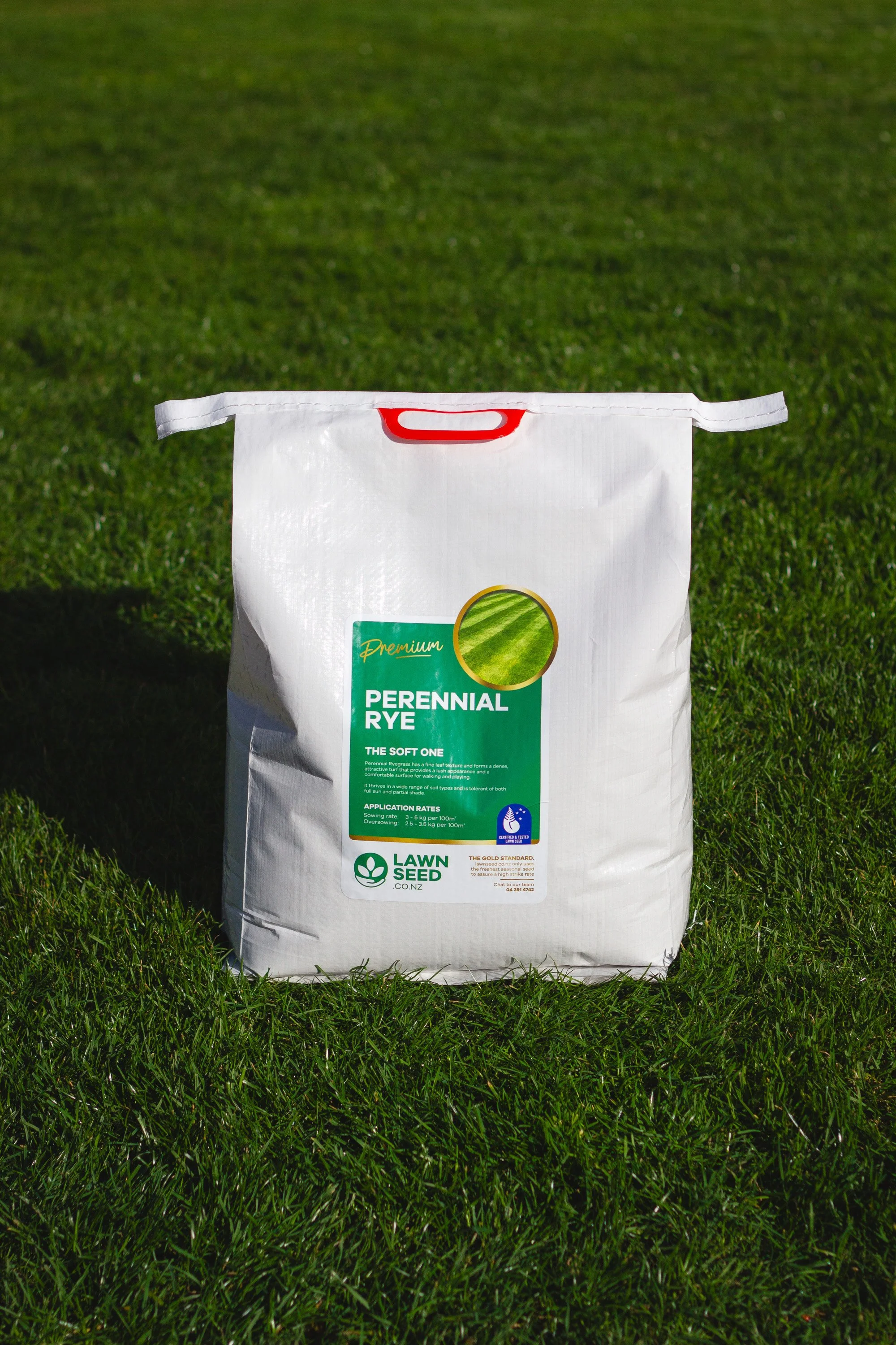 Lawn Seed Perennial Rye Grass Bag 5kg .jpg