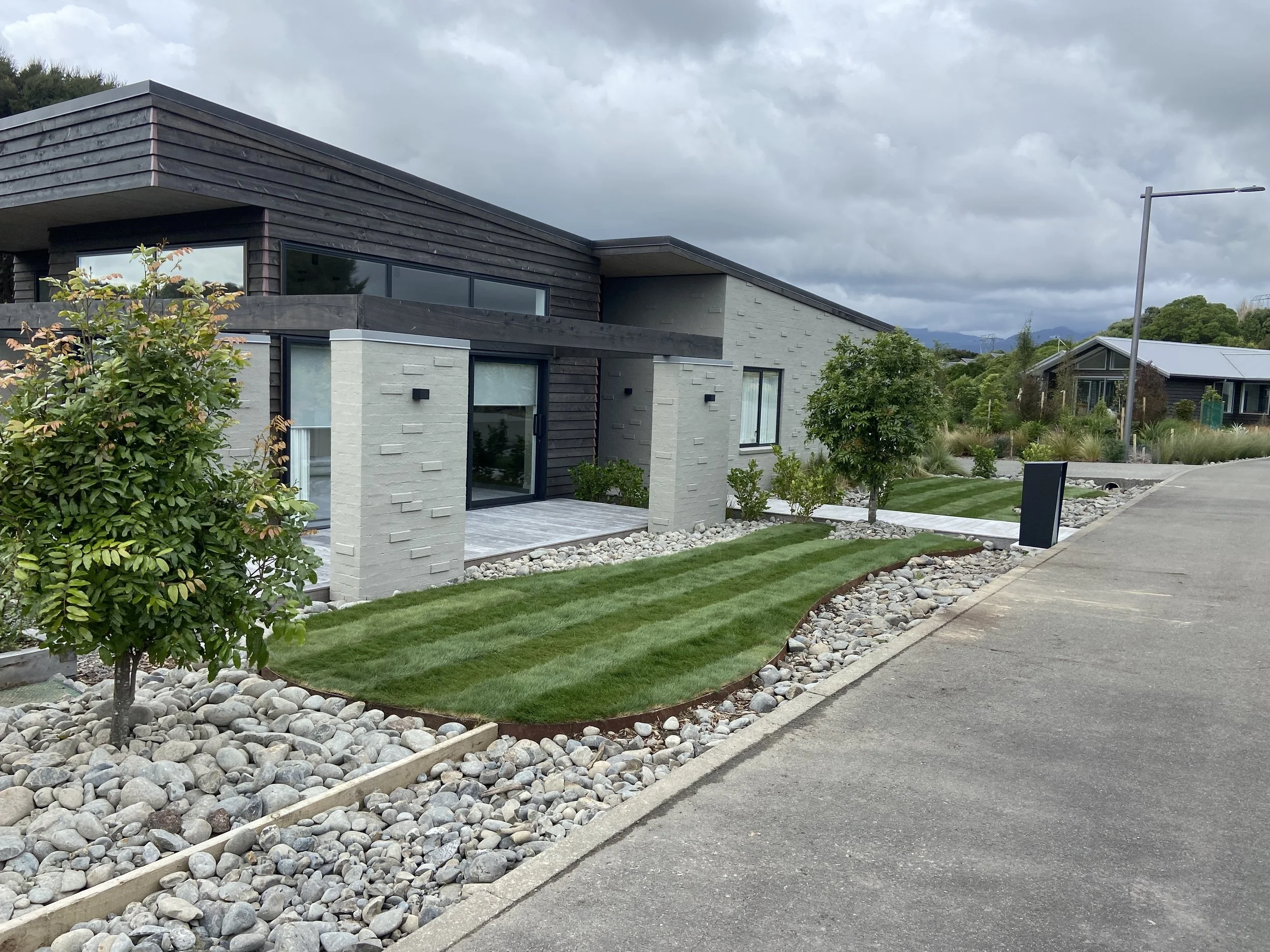 Fine Fescue Ferndale.JPG