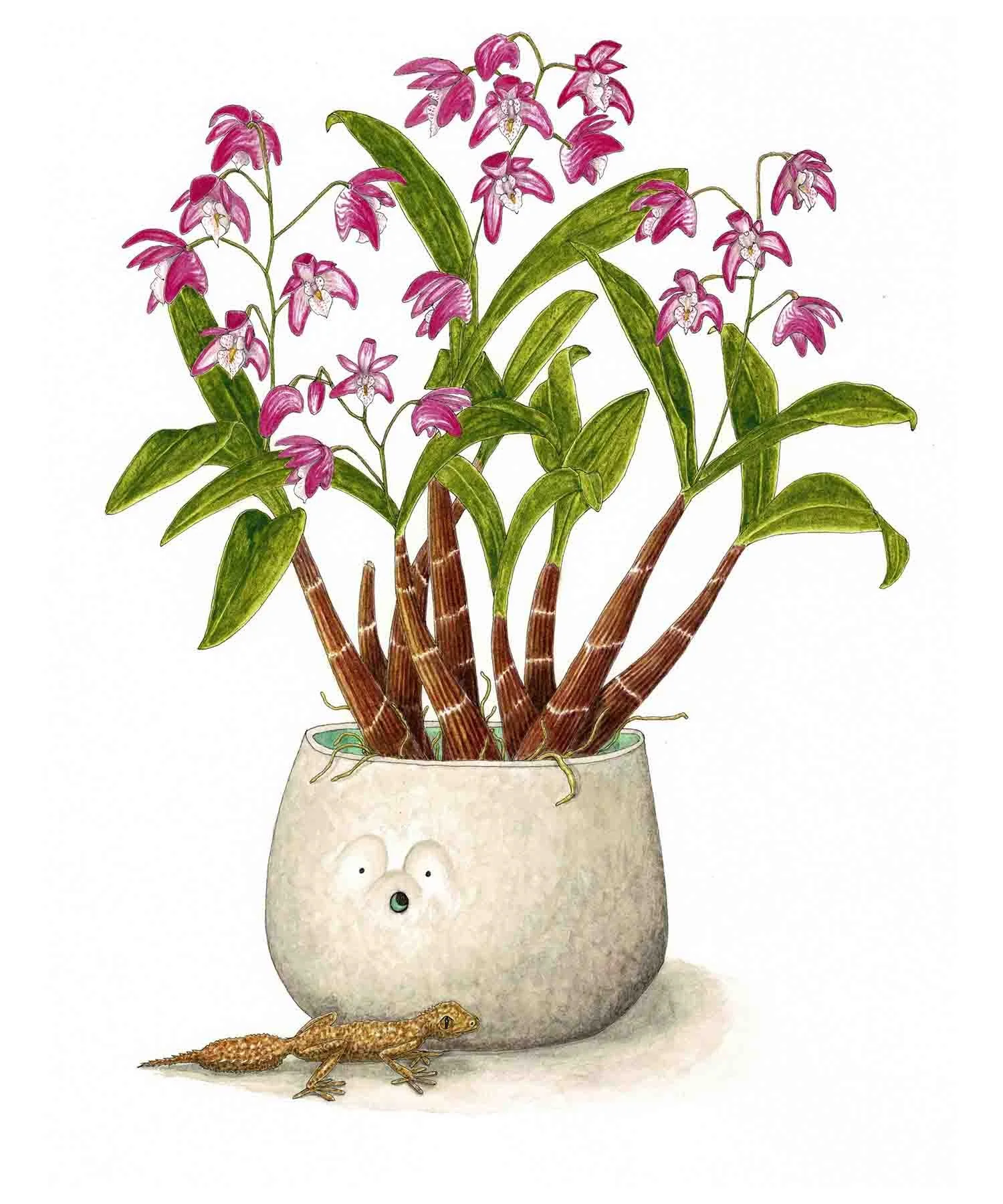 Gecko? Oh!, Watercolour, 2023