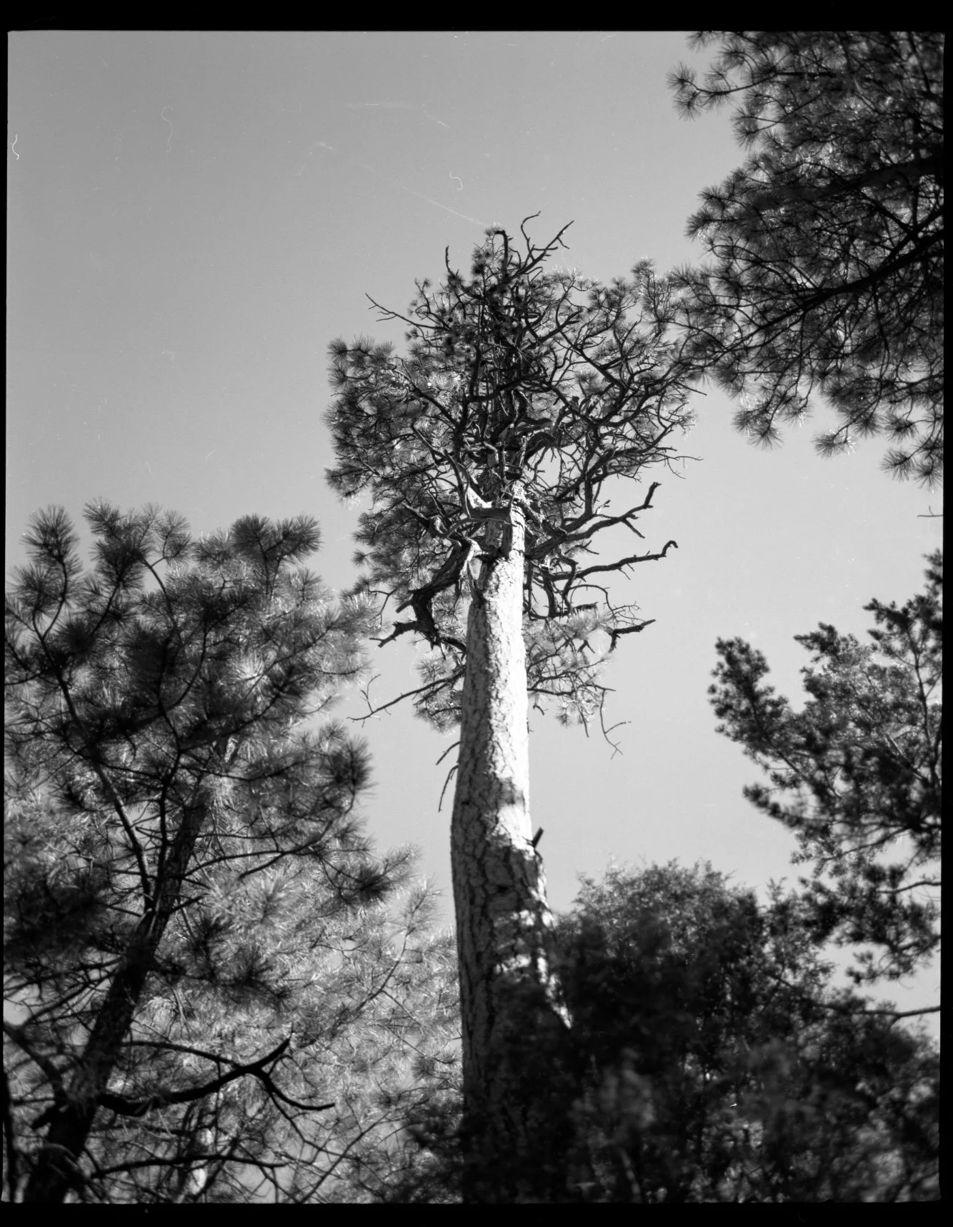 ADAM BATHROOM20260126_19125310.jpg