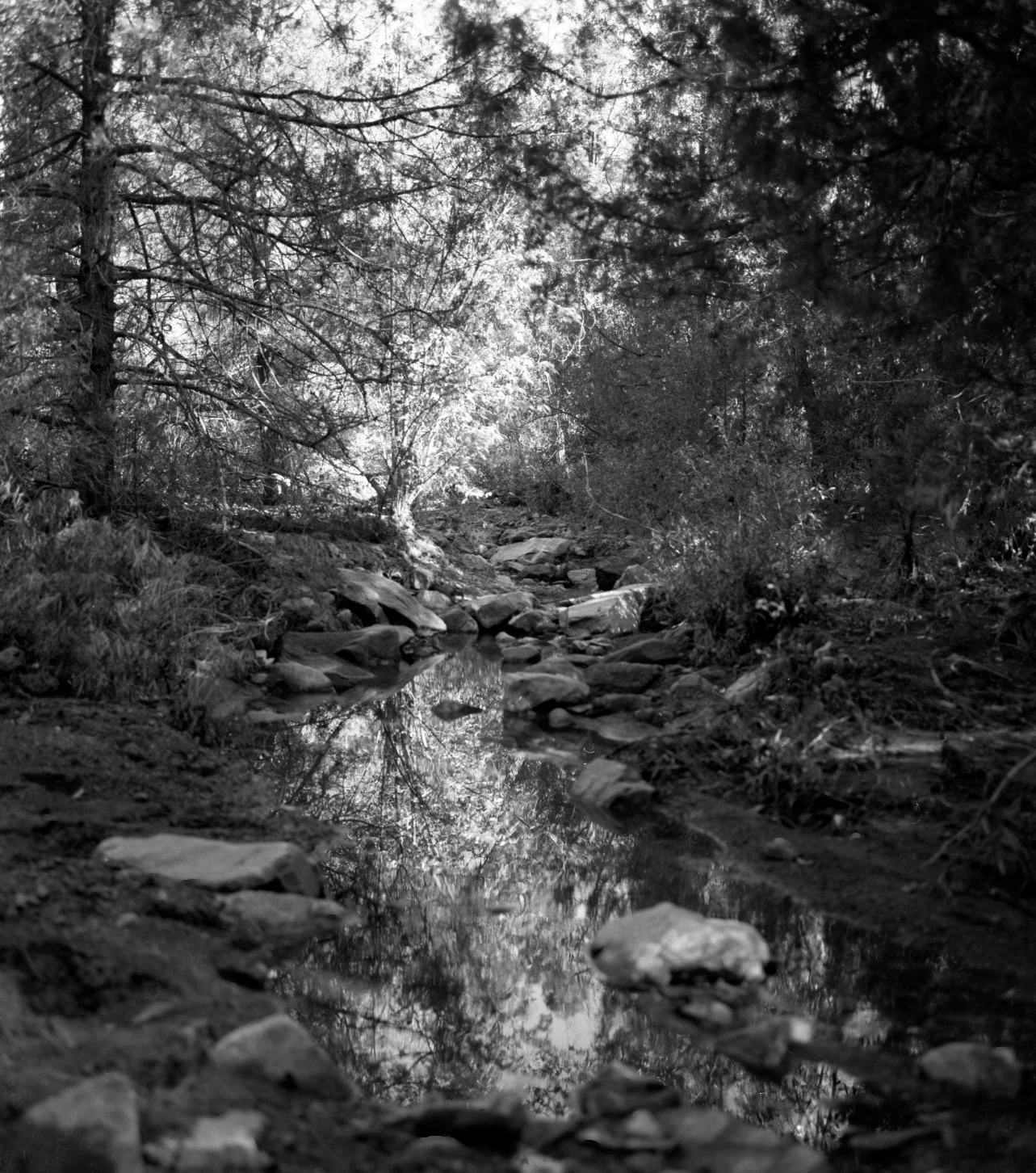 ADAM BATHROOM20260126_19143093.jpg