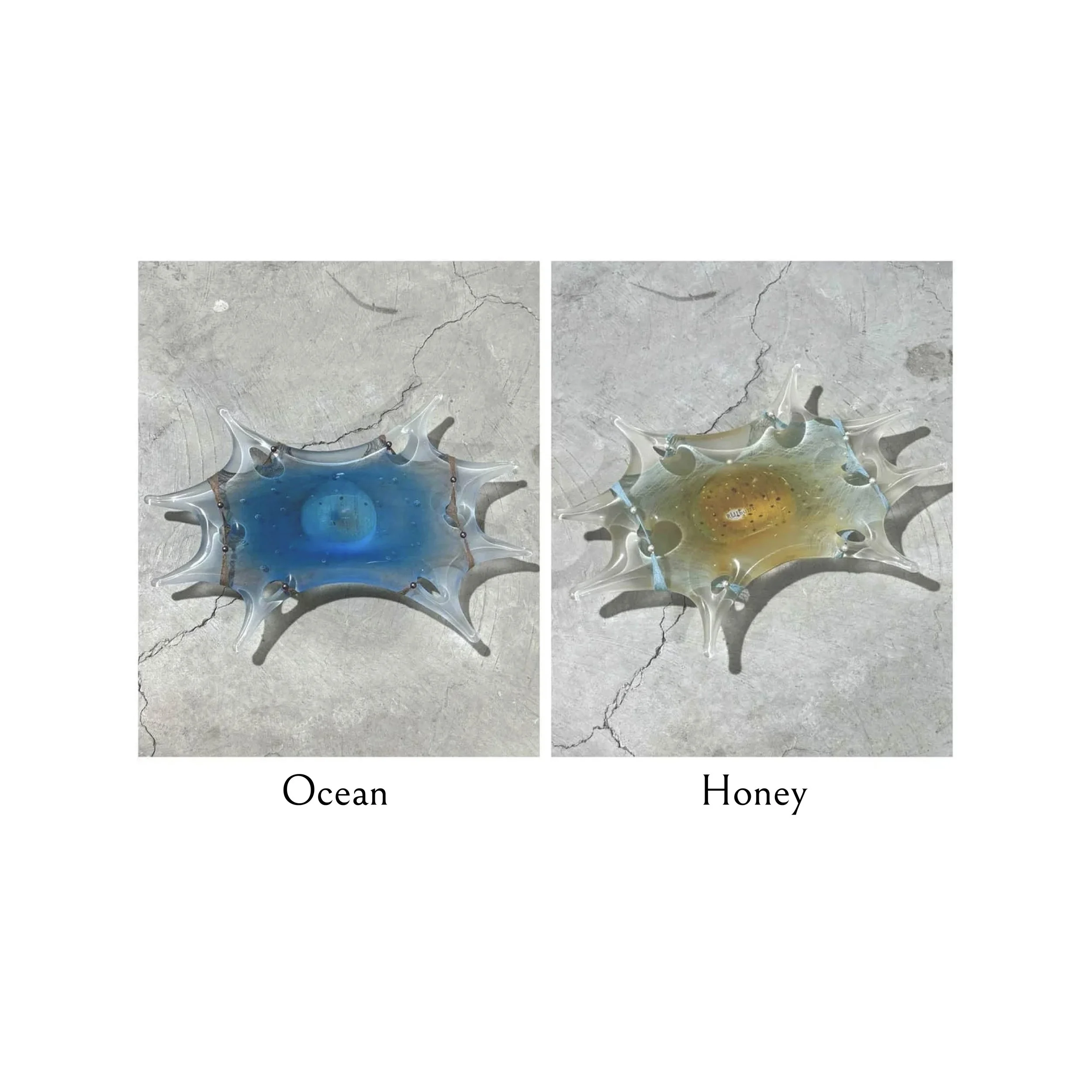 Splash Glass Plate.jpg