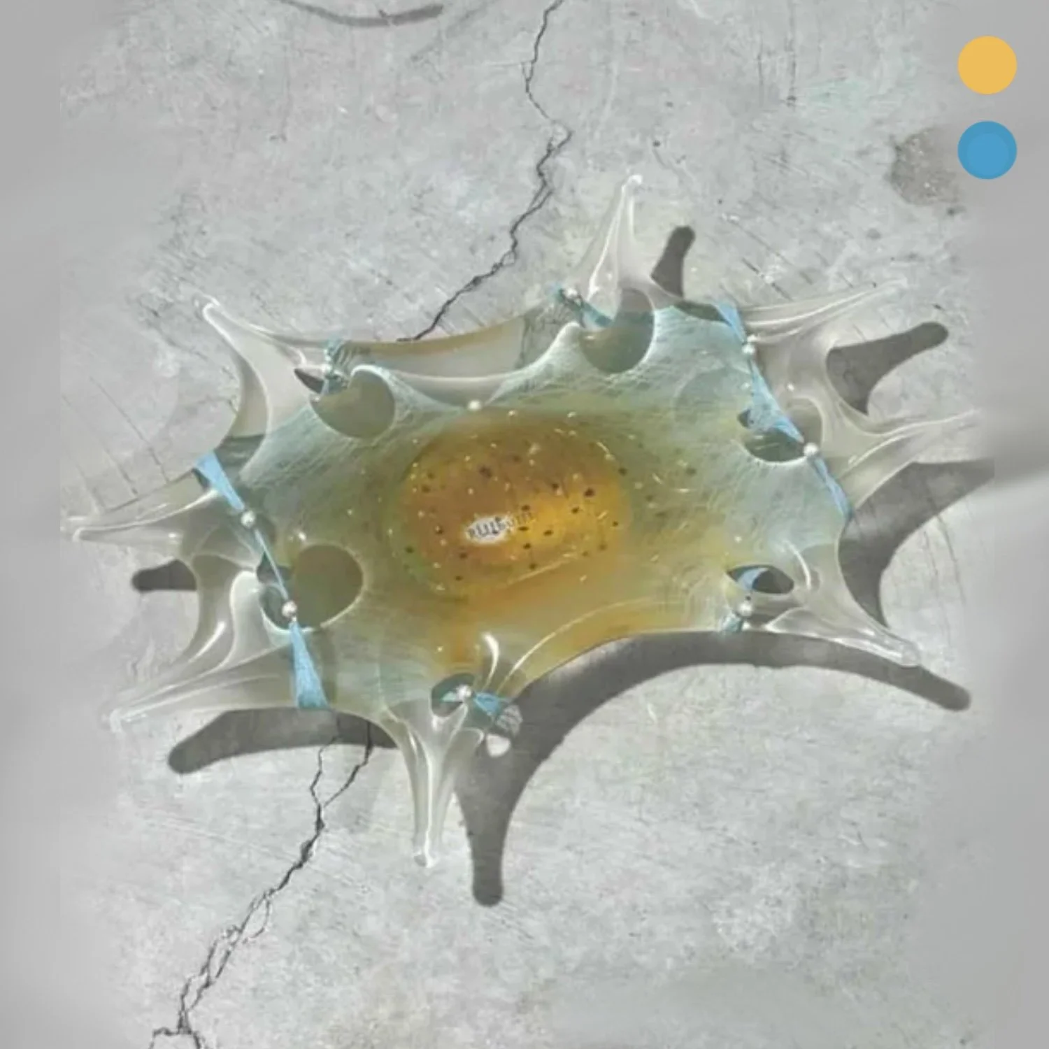 Splash Glass Plate