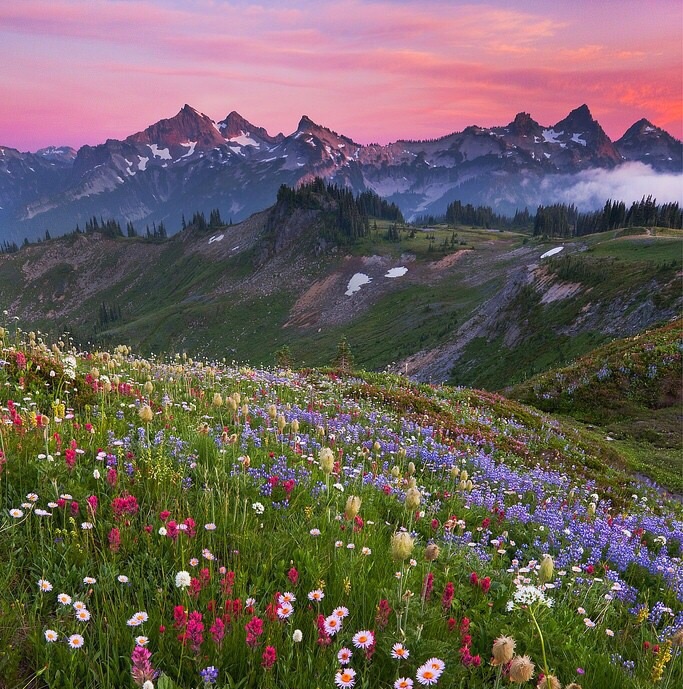 The Life we all dreamed of.