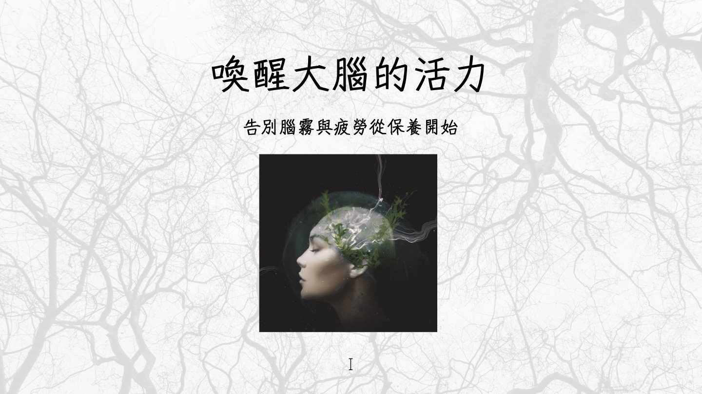 重拾清晰思緒，打造大腦活力的關鍵保養策略