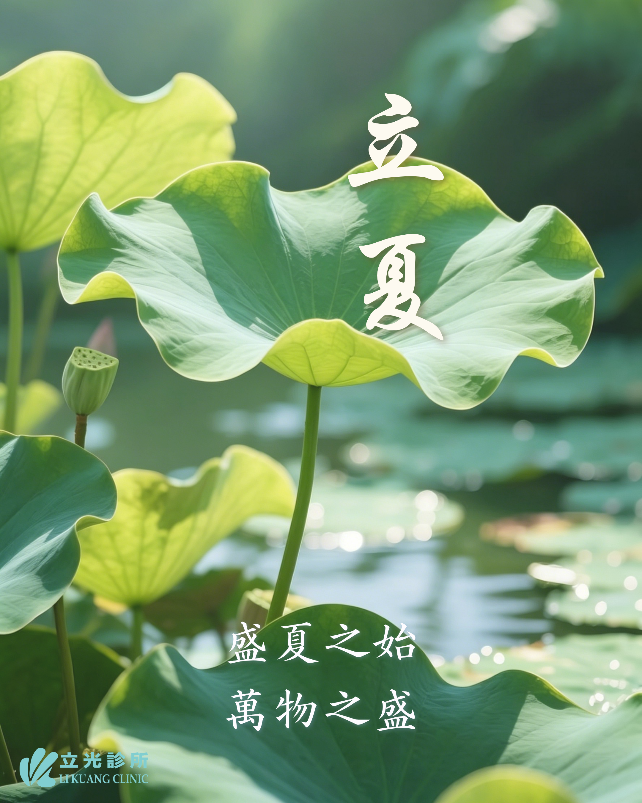 立夏｜生長，是身體的覺醒