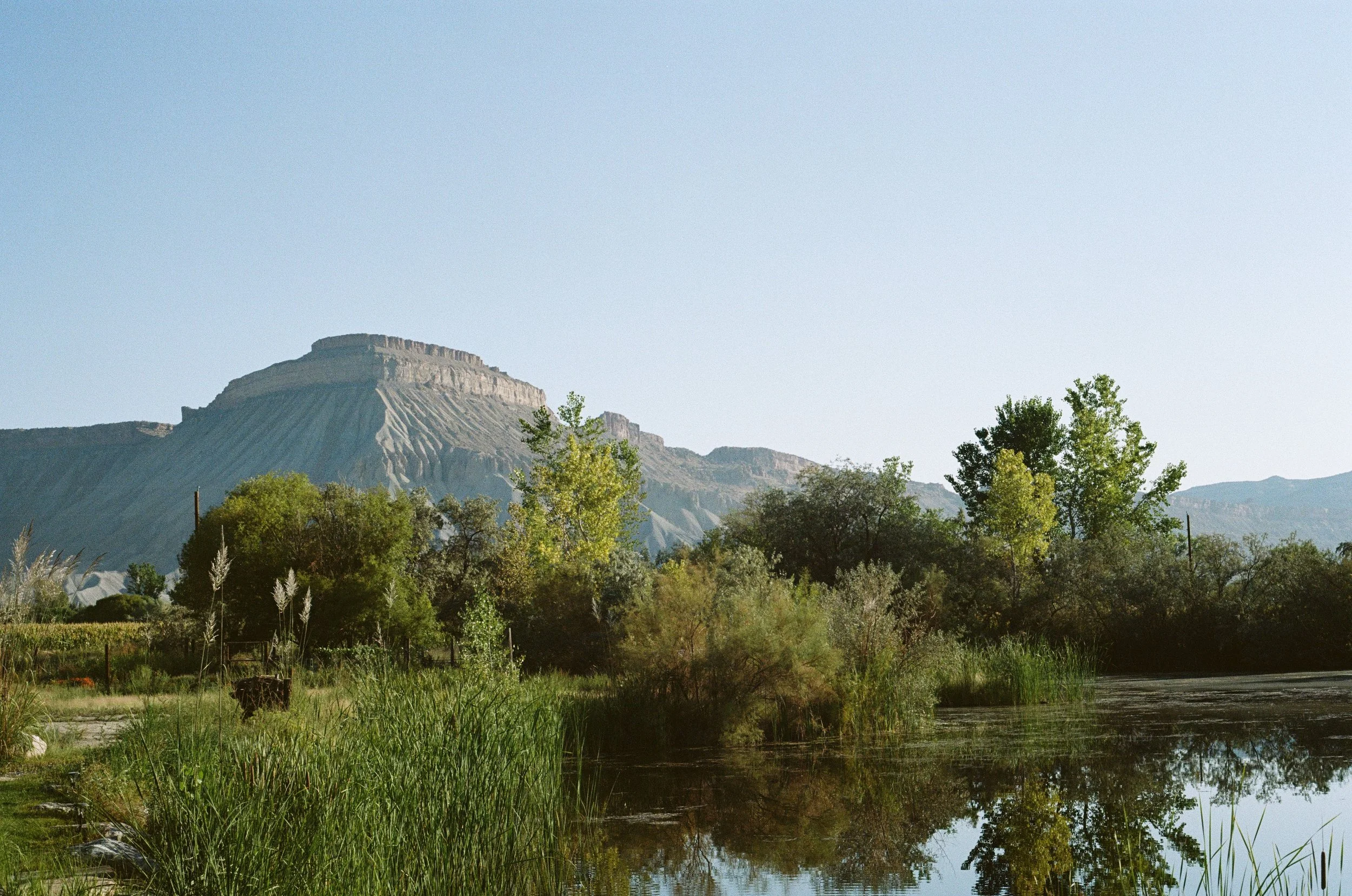Grand Junction on 35mm Film Photo Print of Colorado — Eli Greiss