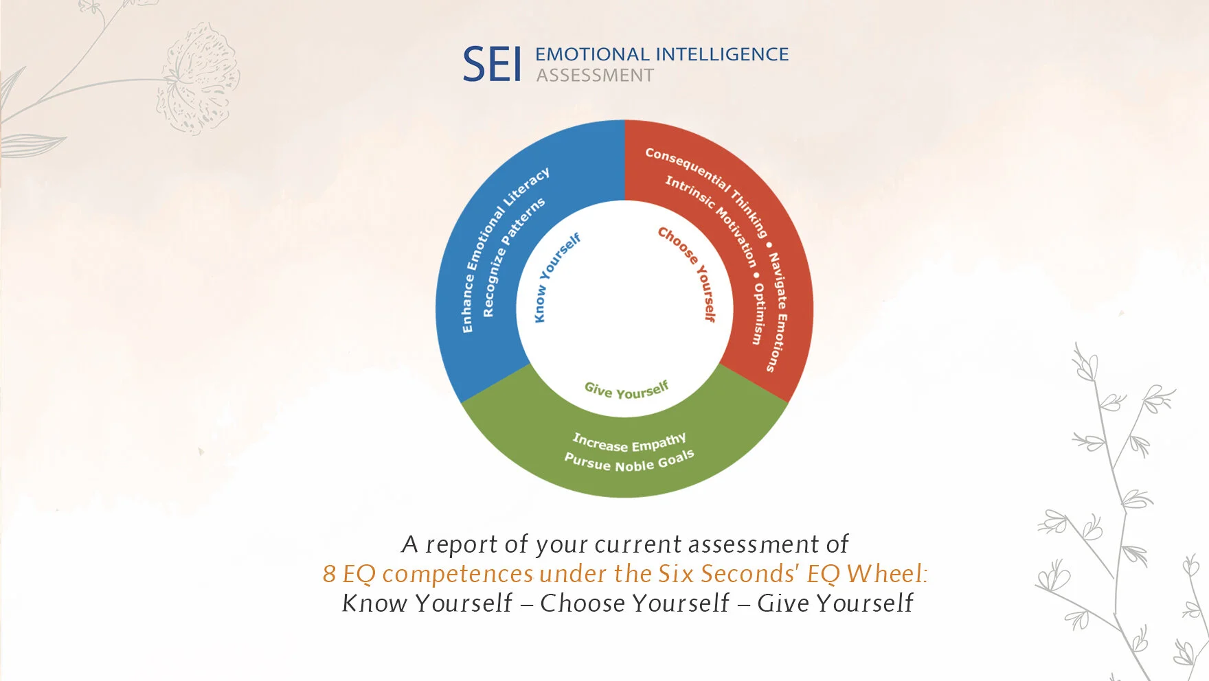 Emotional Maturity Coaching Mindful Nest