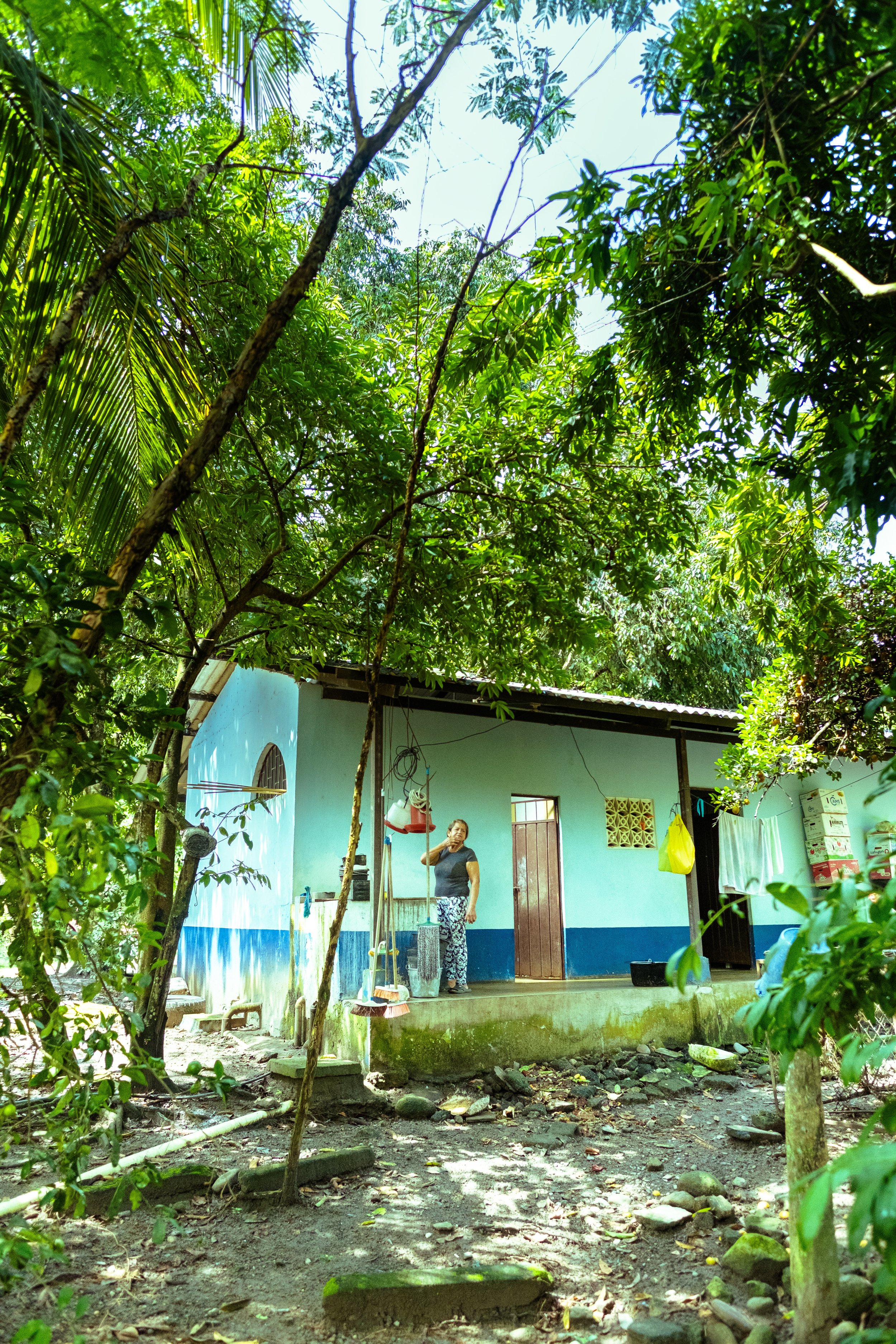 estela updated highlights-2.jpeg