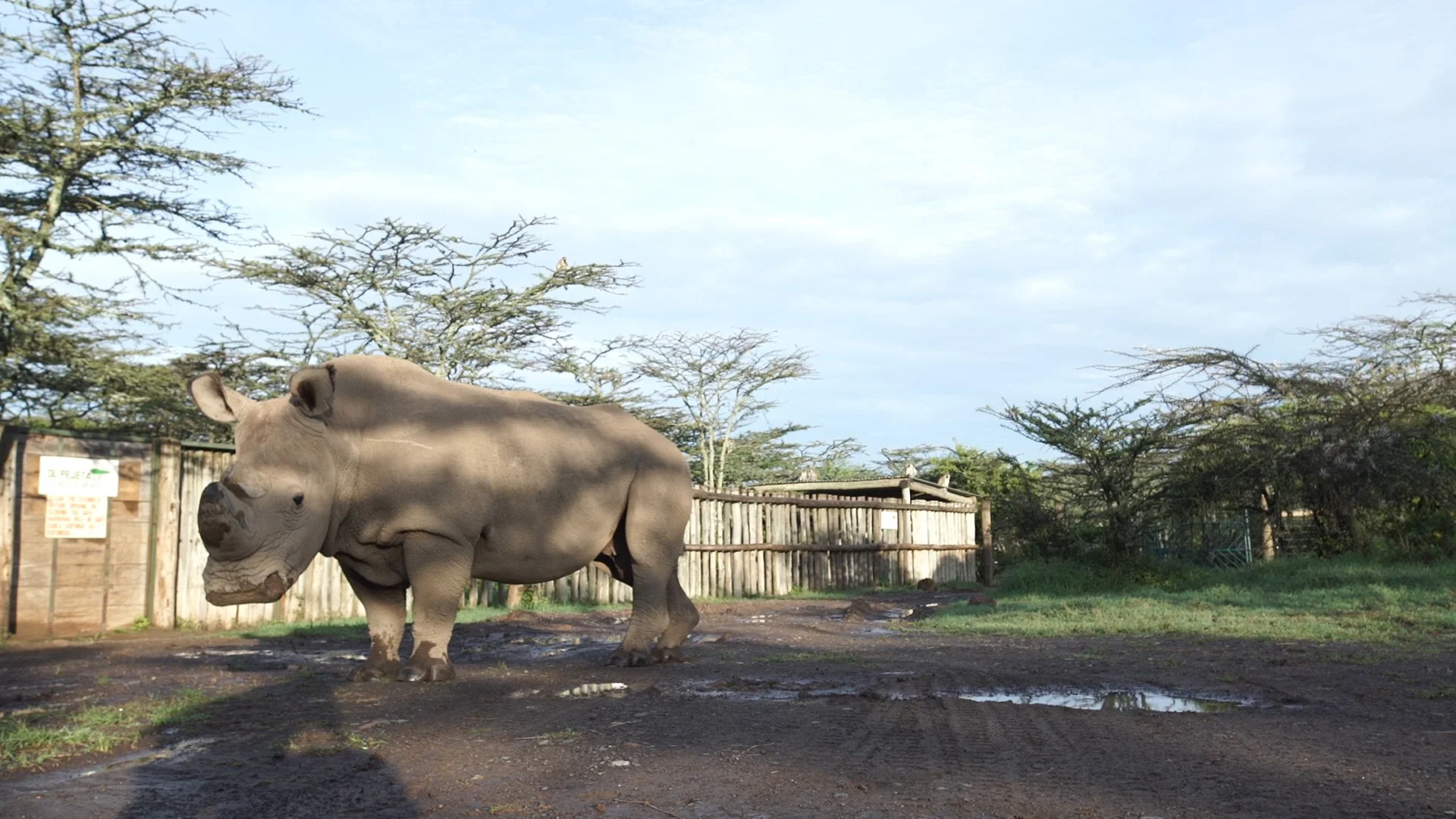 201605_Jacob Feeding Sudan_selects.00_03_00_03.Still017-2.jpg