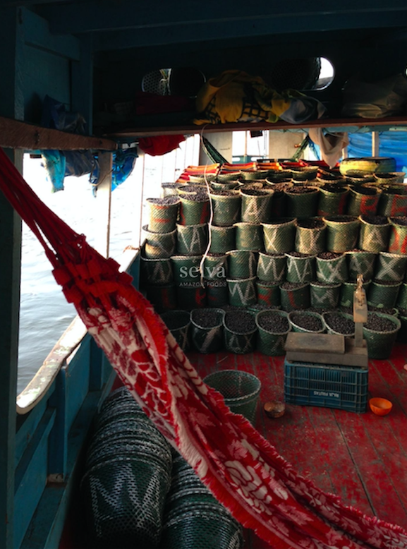 Açaí berries being transported through the Amazon river