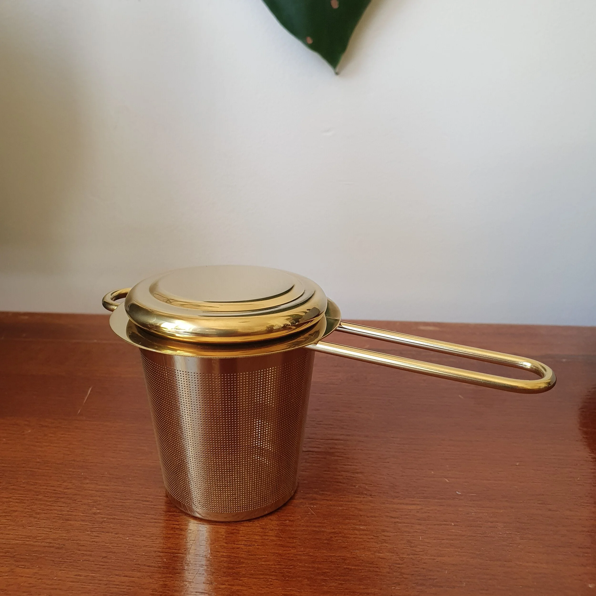 Fine Mesh Tea Infuser — Spice Dunes