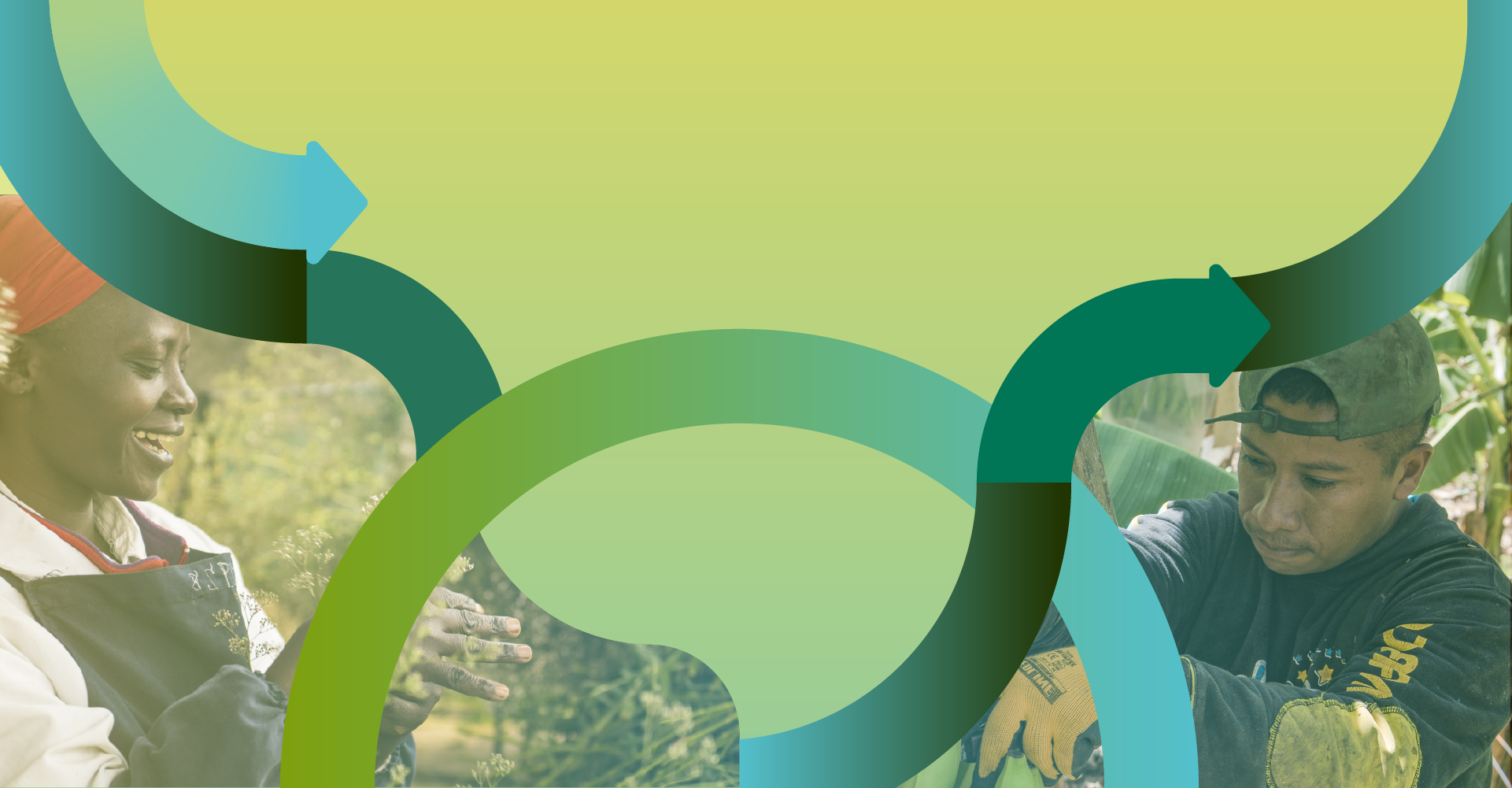 Home-header-image.png