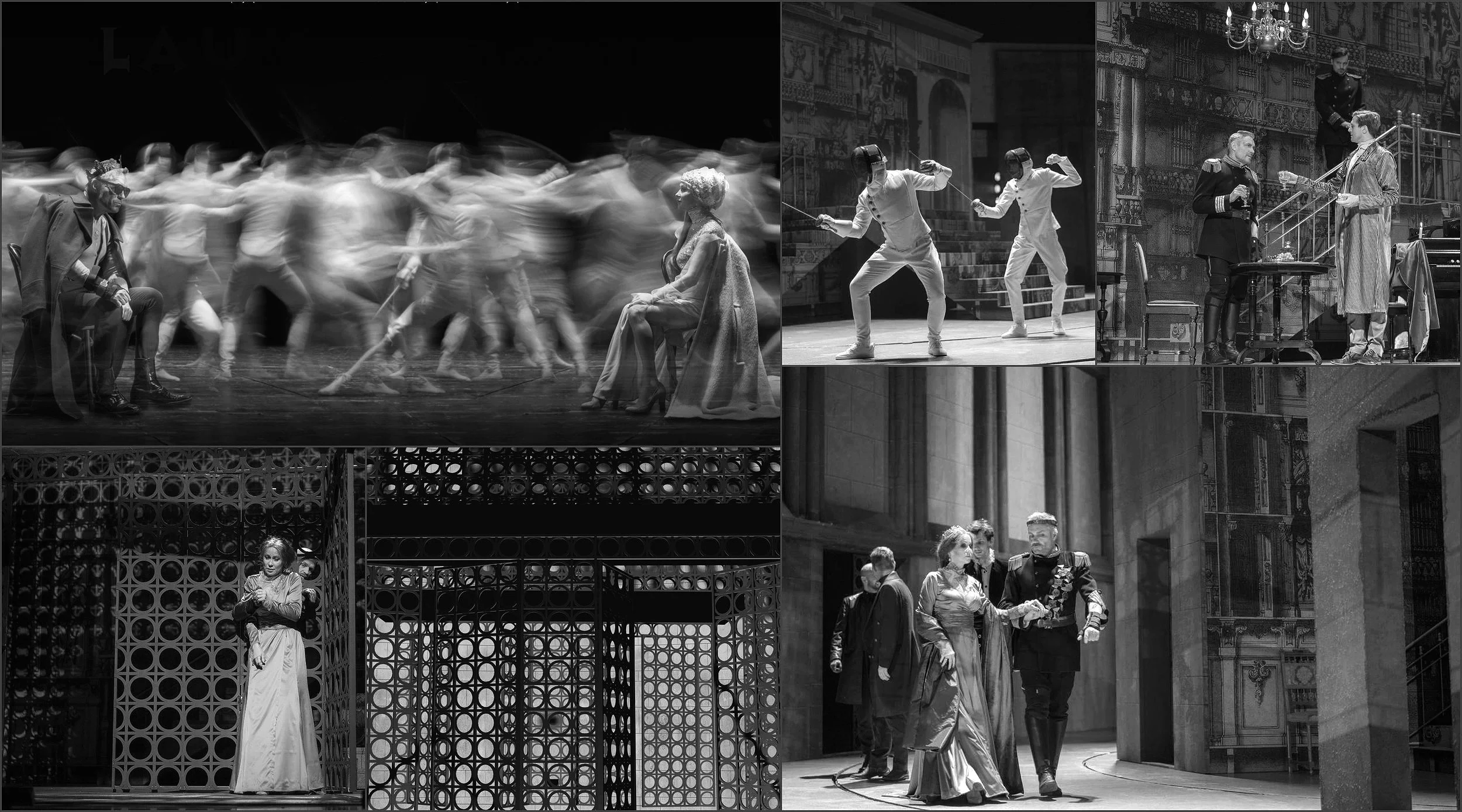 THE LION IN WINTER 2019