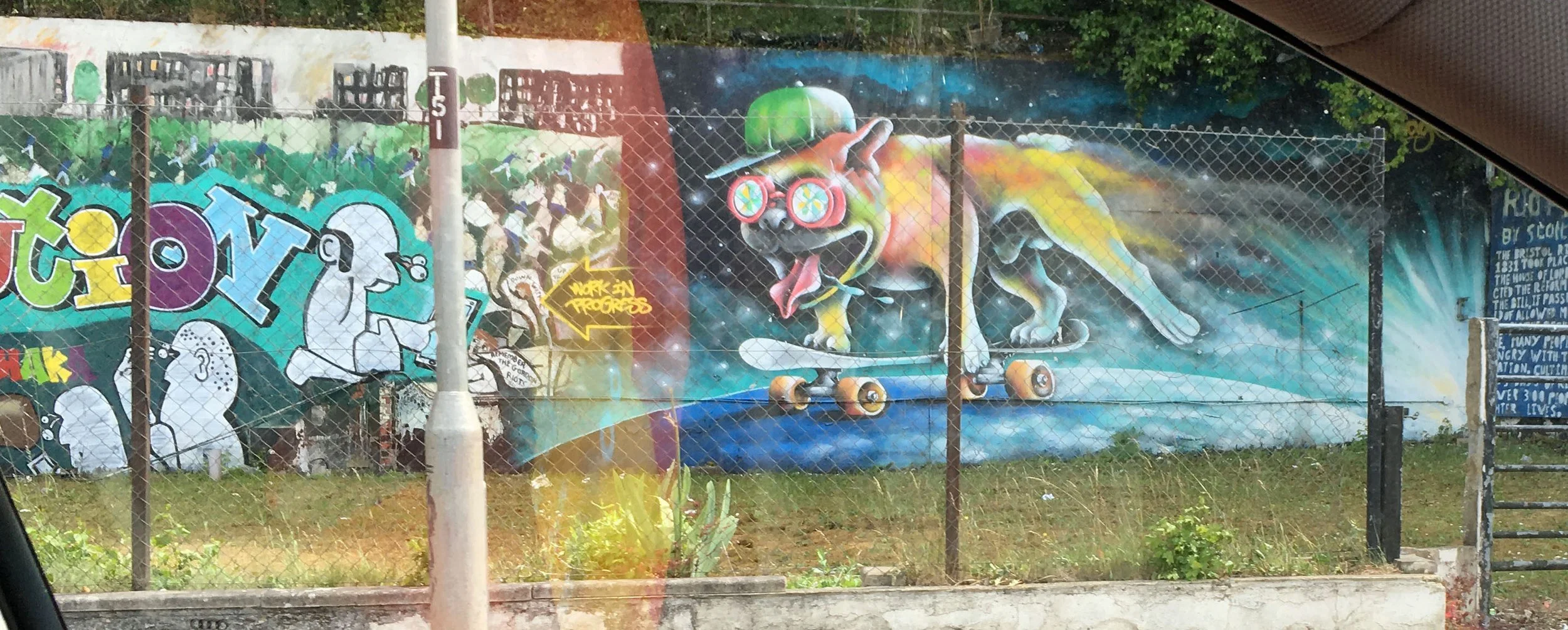 skateboarding dog.jpg