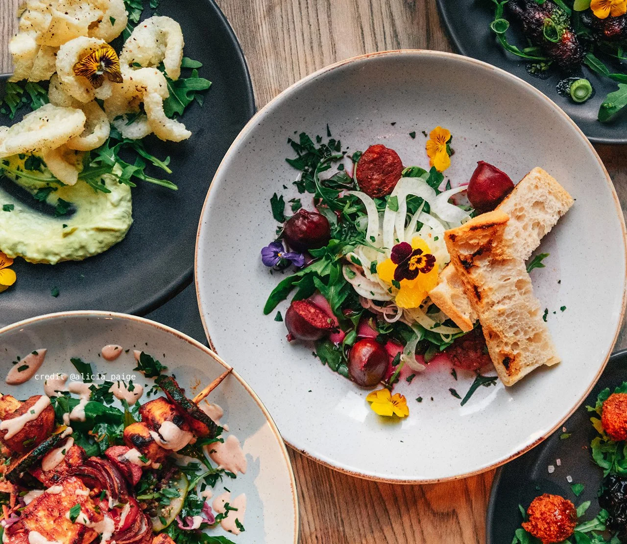 plates banner credit 2b.jpg