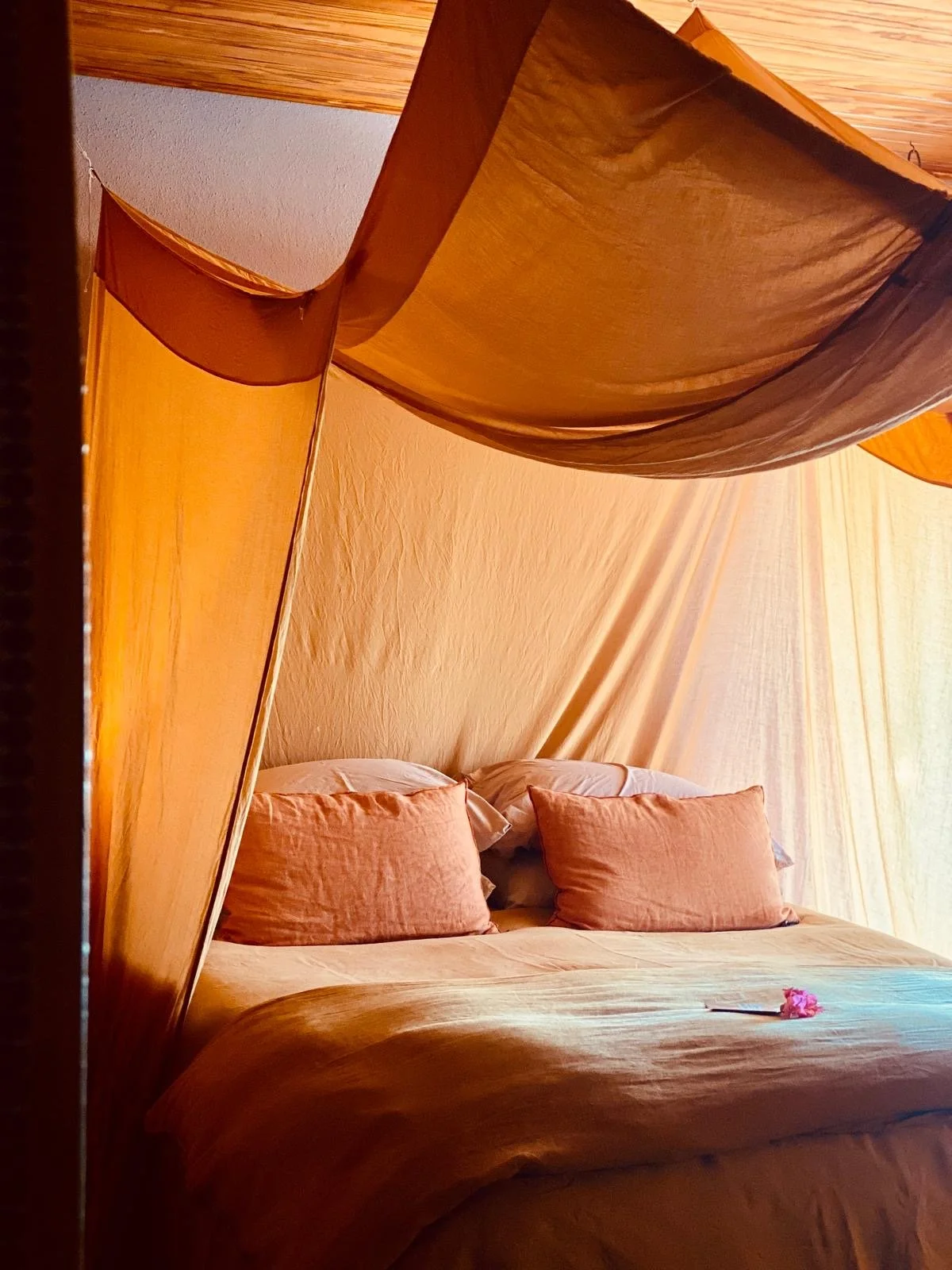 b00fcb24-856a-48bb-8f33-dabd4c9aee99 2.JPG