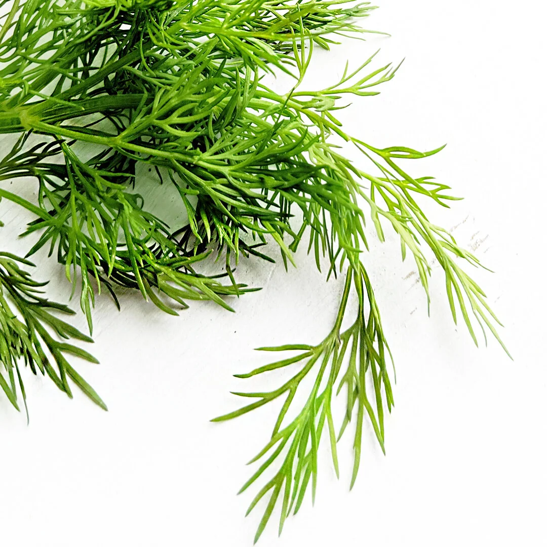 Dill