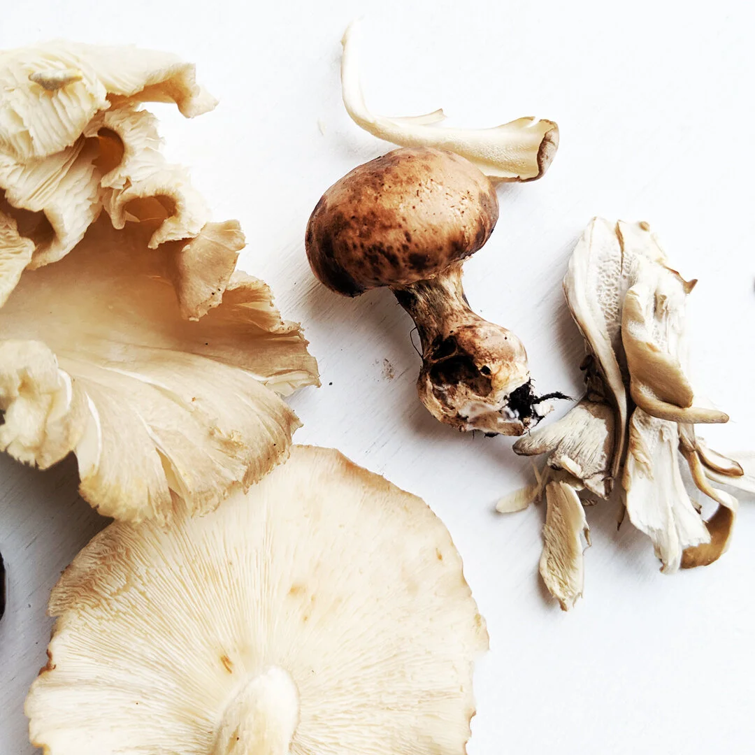 Mushrooms