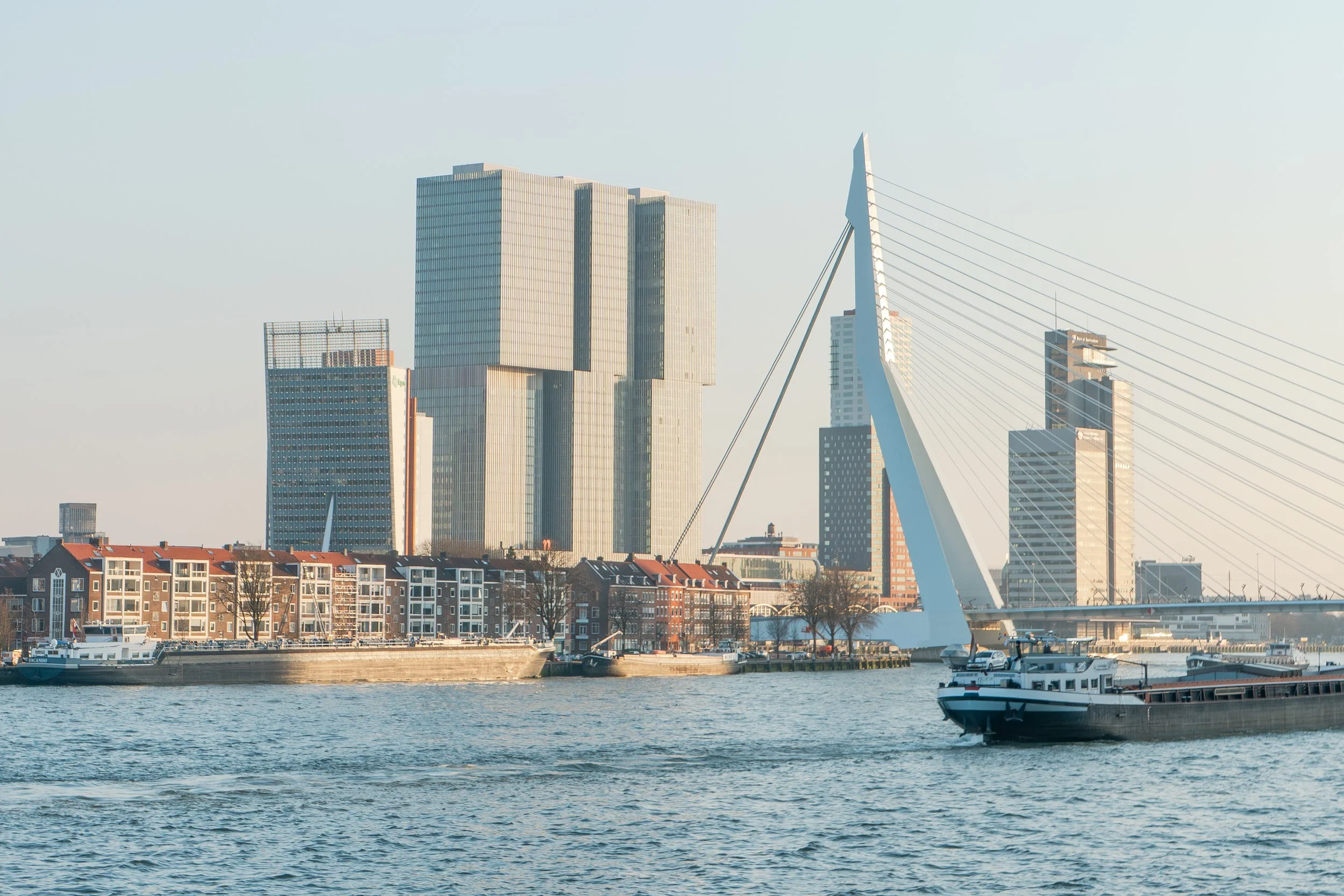 _erasmusbridge-6.jpg