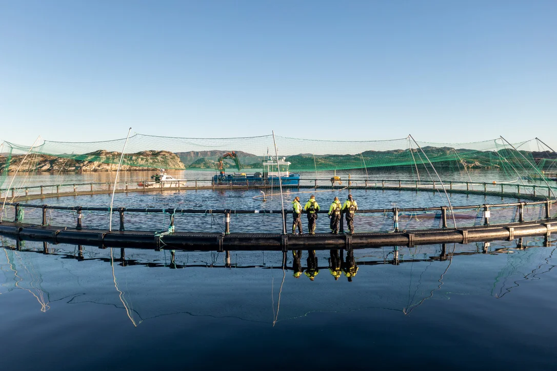 Havbruksnæringa i endring