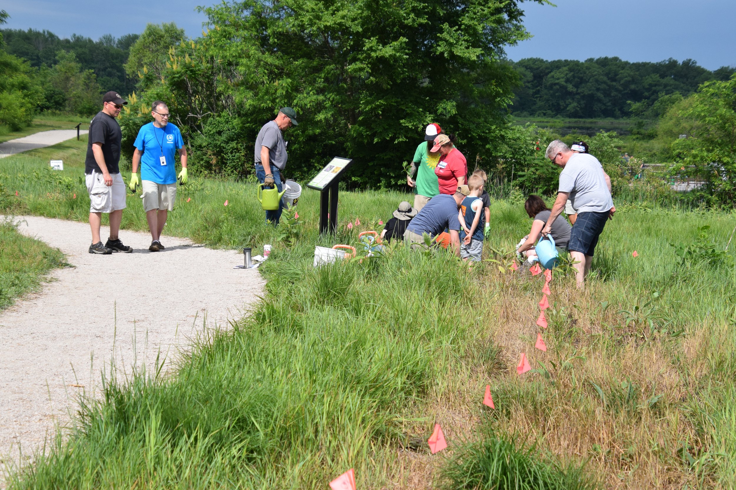 Prairie Planting 2018-06-16_0003.jpg