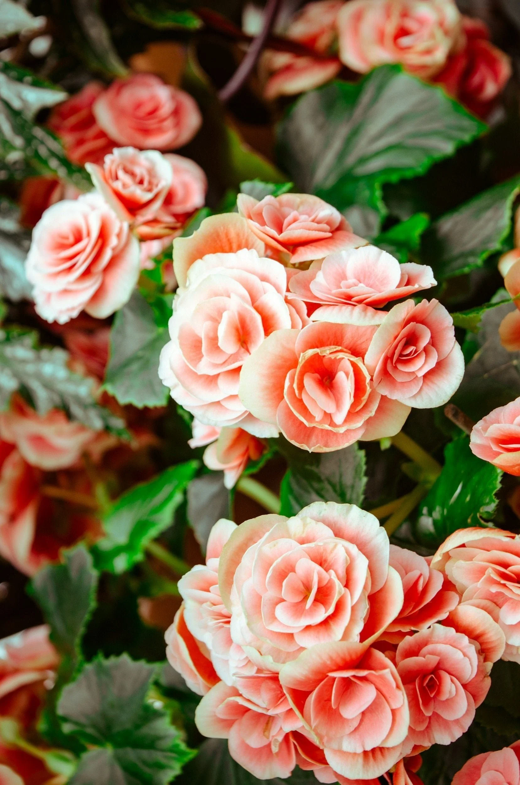 How to Trigger a Man's Hero Instinct - This May Surprise You :) 