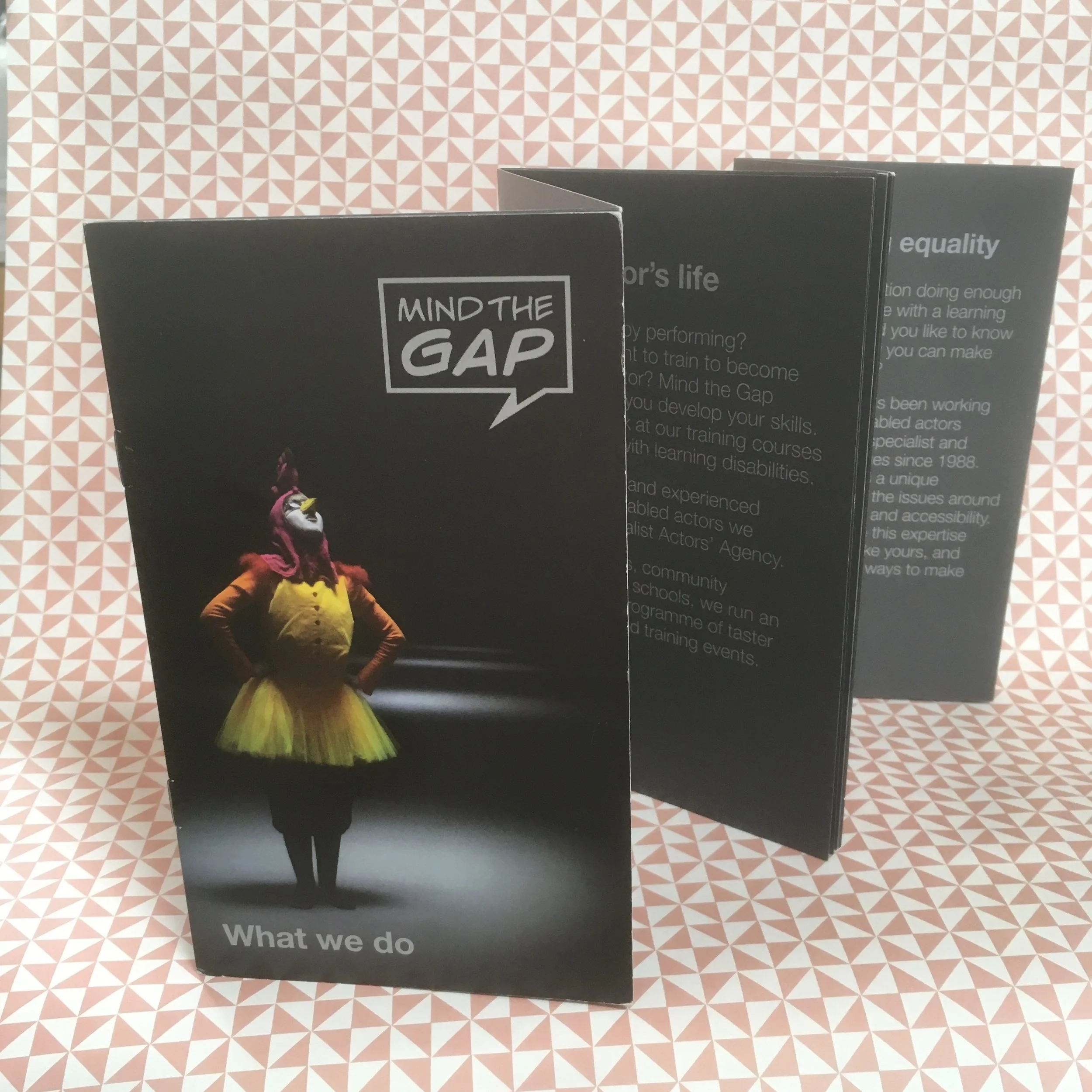 Marketing, digital, PR (in-house) | Mind The Gap | inclusive theatre company