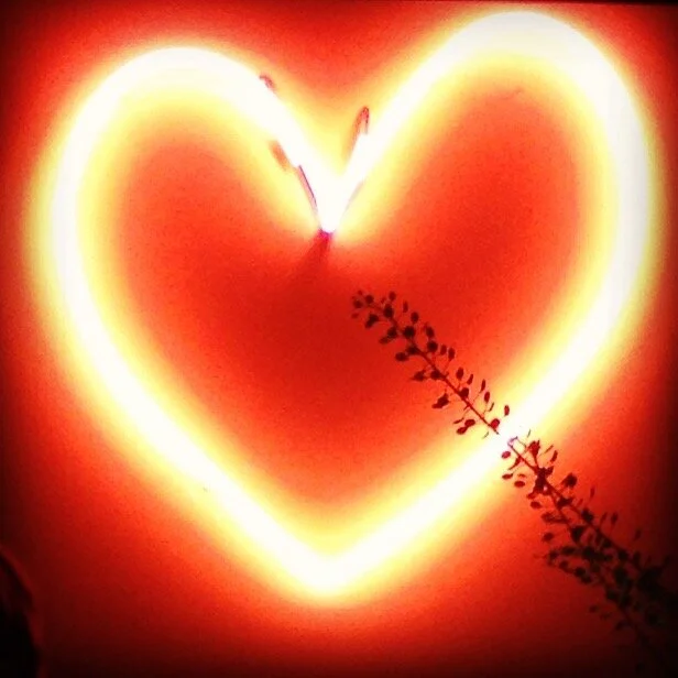 neon red heart.JPG