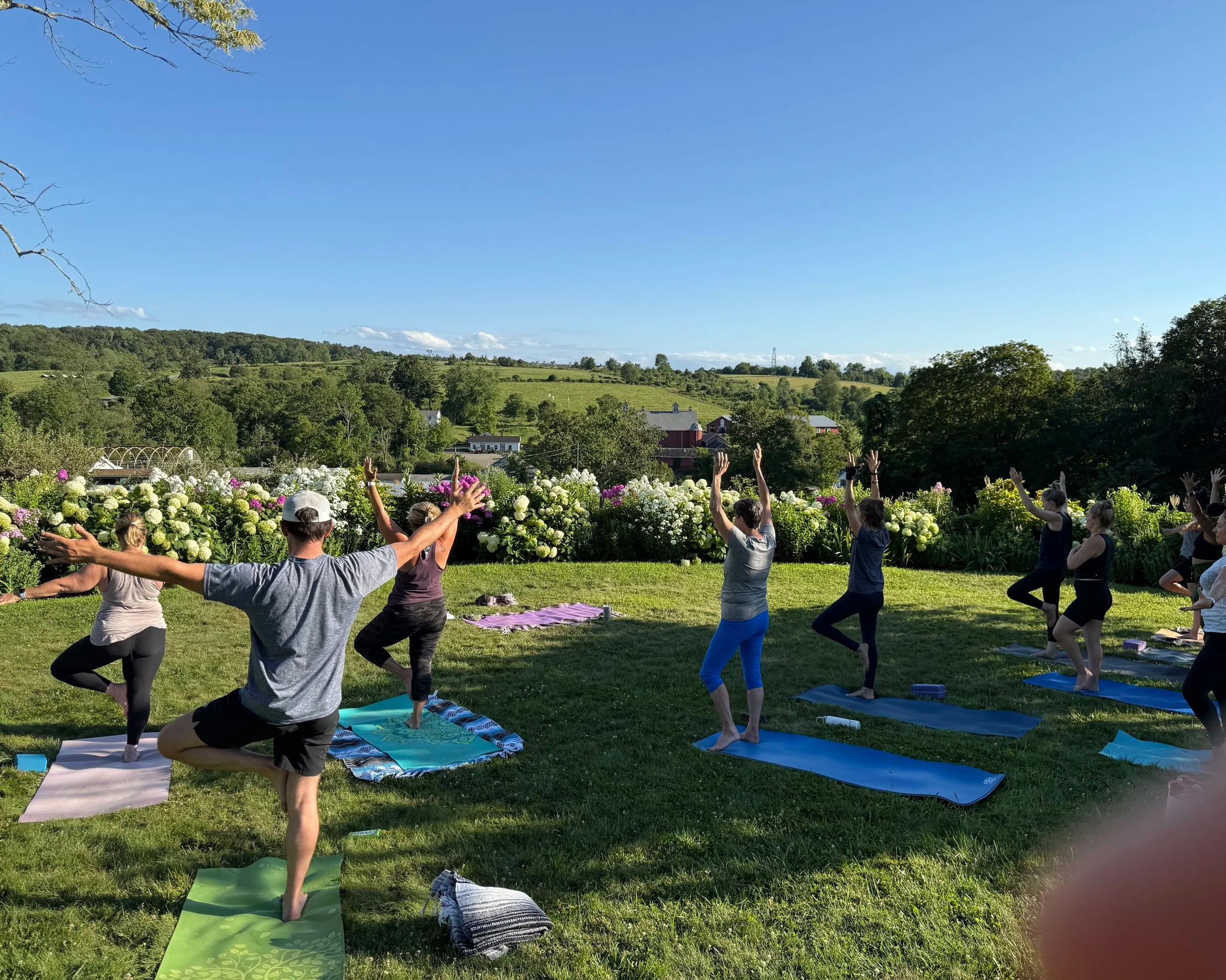 Heartful+Yoga+with+Dani+at+Glynwood+Famrs+.png